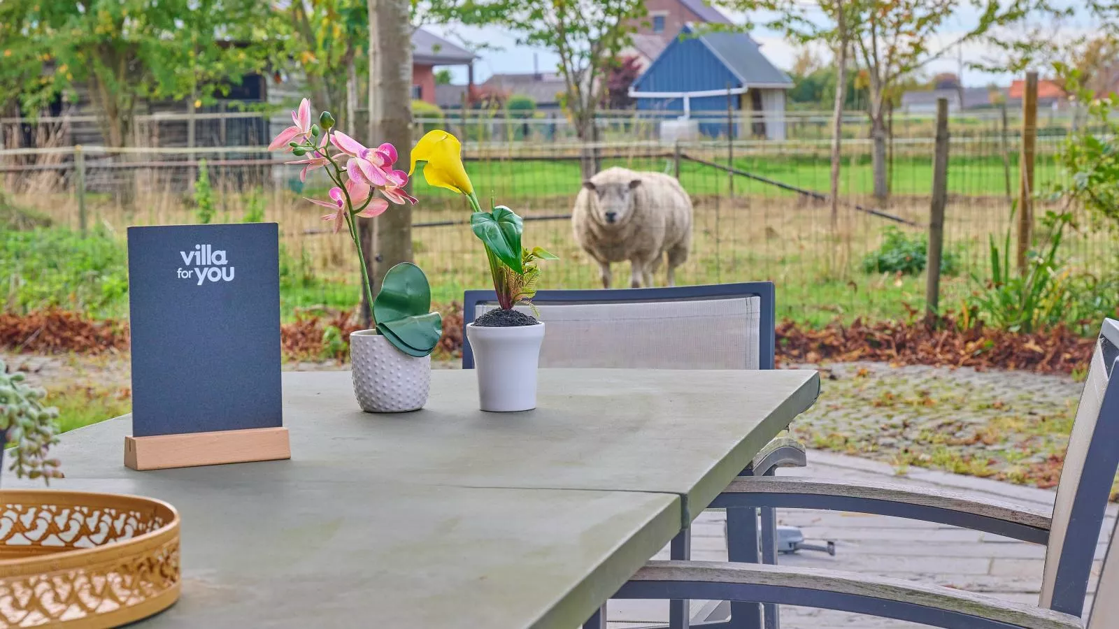 Quanto A  B-Terrasbalkon