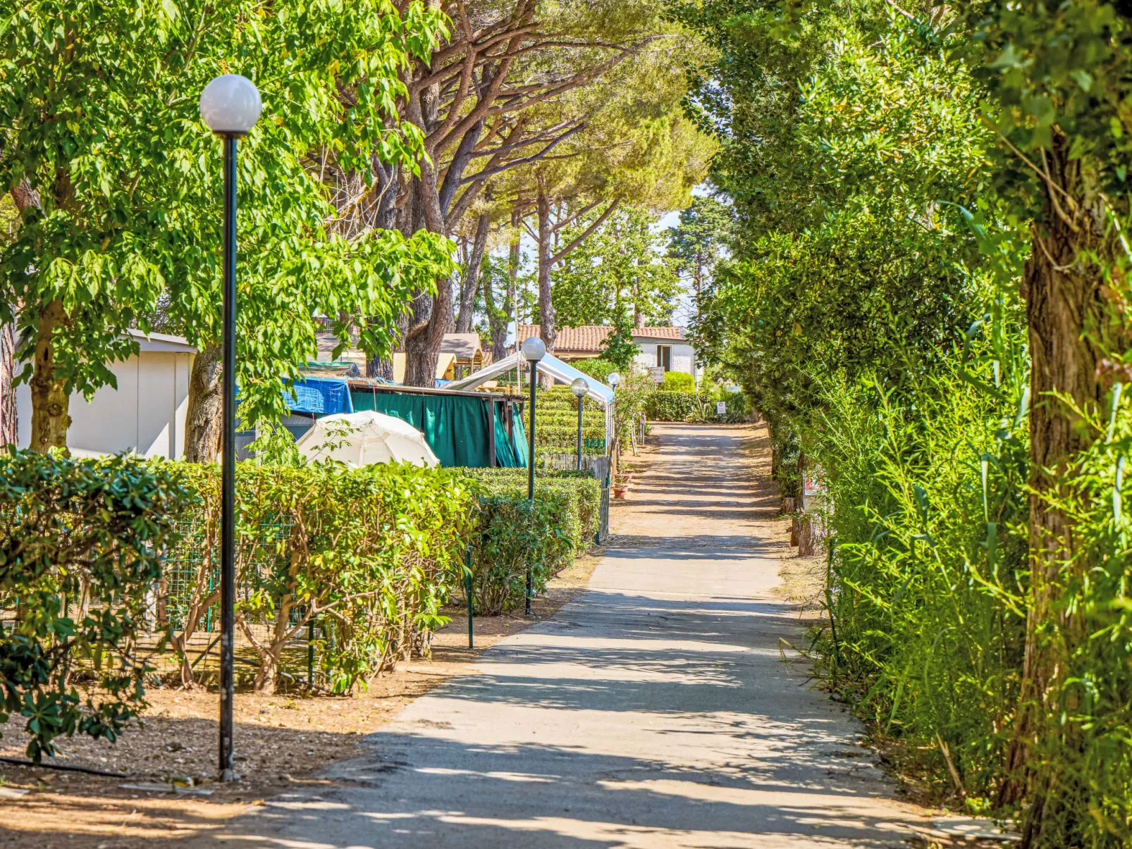 Costa D'Argento - Buiten