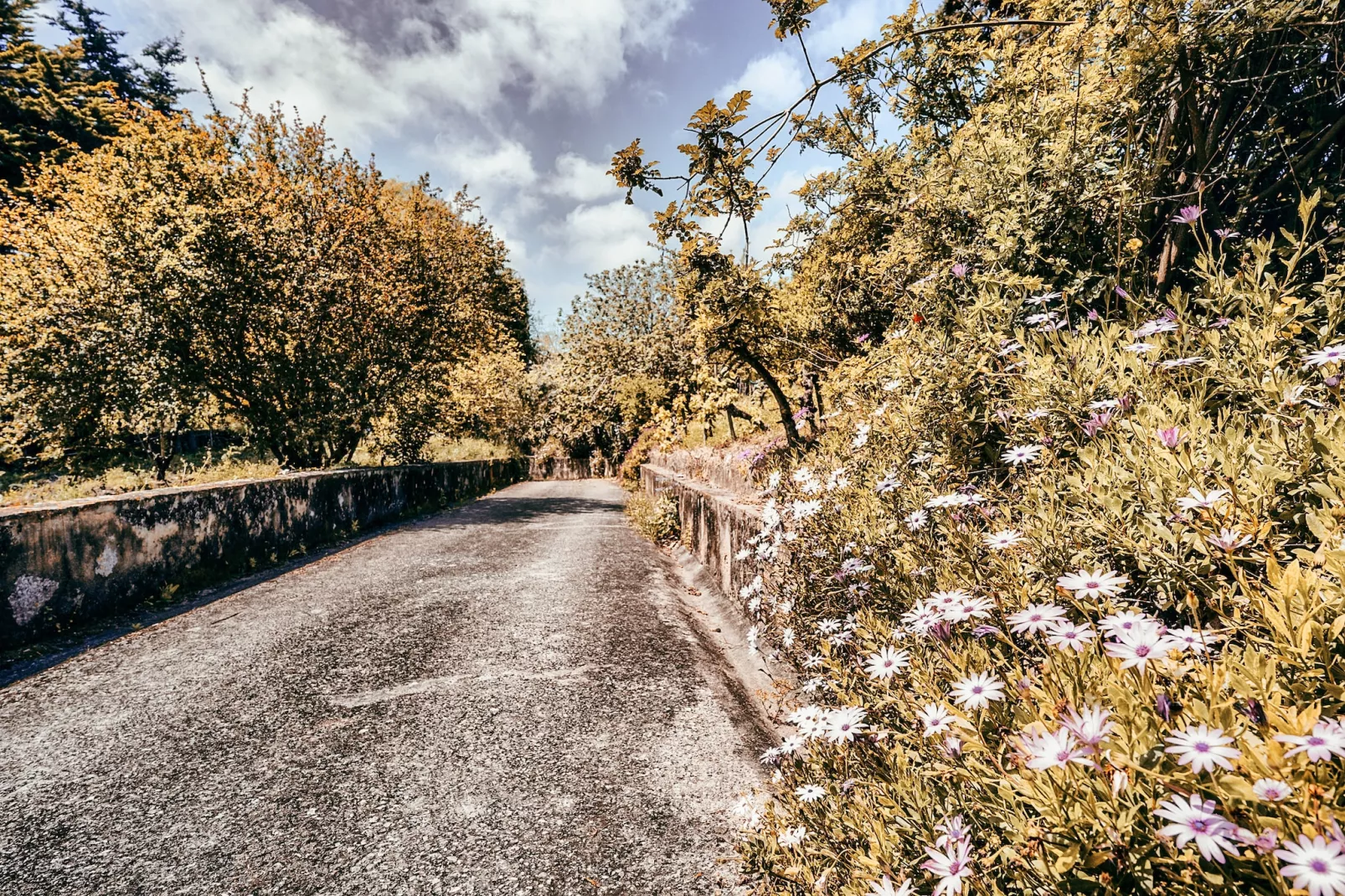 Casa da Rampa By Gt House-Buitenlucht