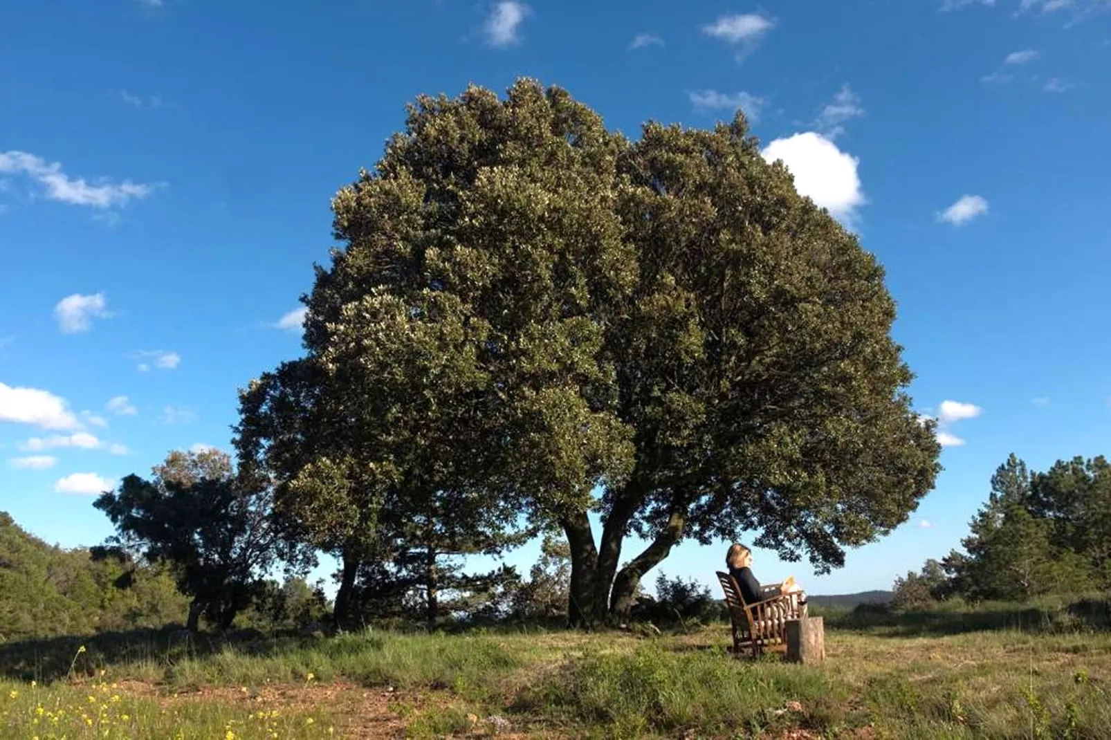 Mas de l'Arlequi - Tuinen zomer