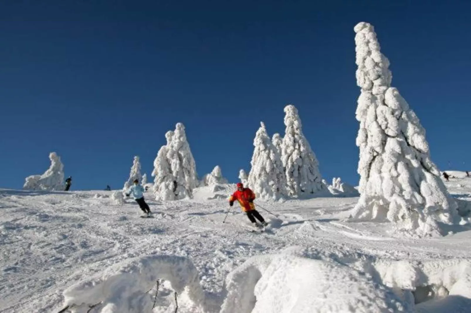 Ferienwohnung in Arrach bei Großer Arber-Gebied winter 20km