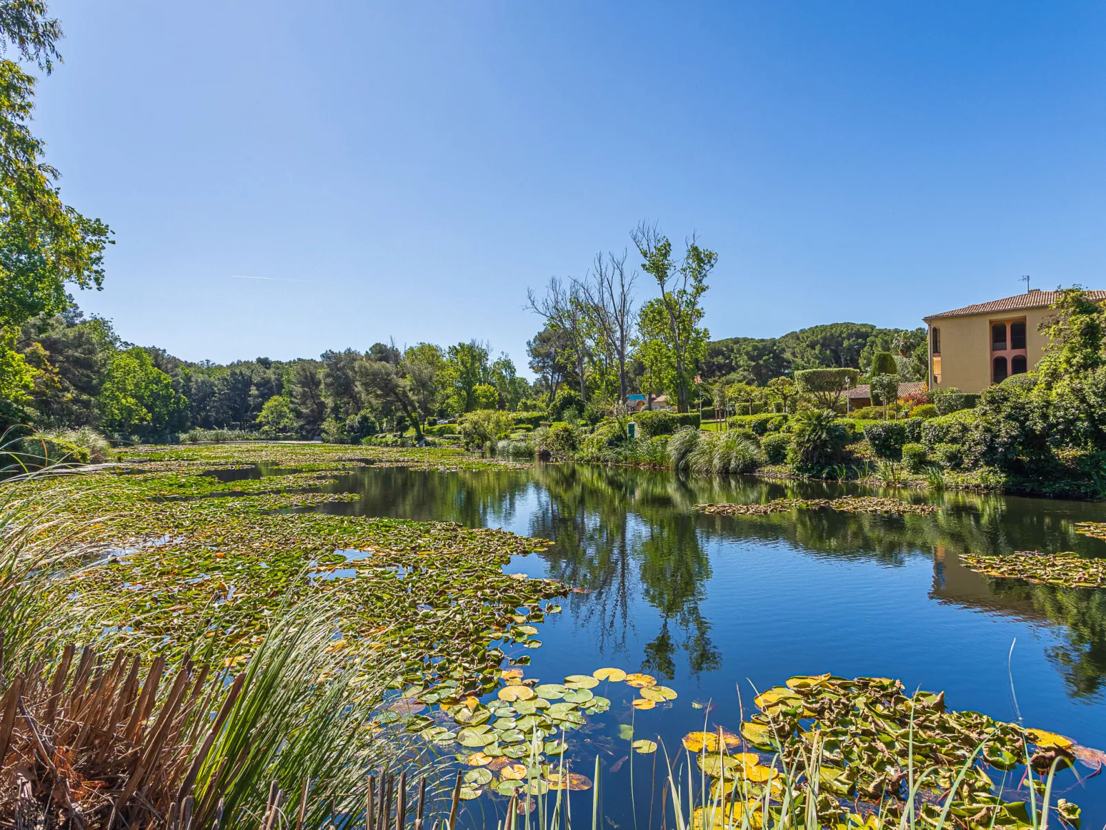 Les Rivages de Coudoulière - Binnen