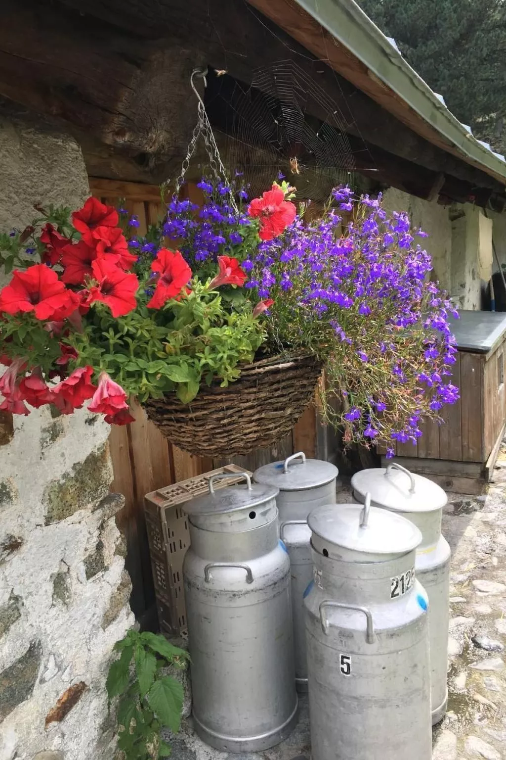 Derby 11 - Image-tags.info