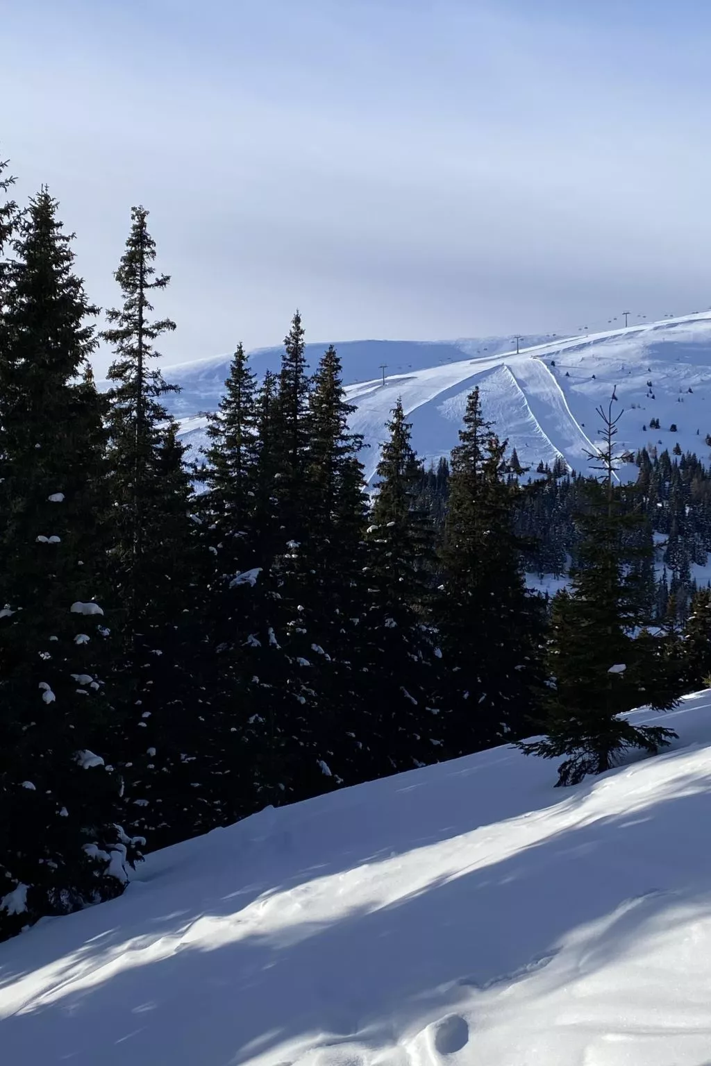 Jagdhütte - Image-tags.info