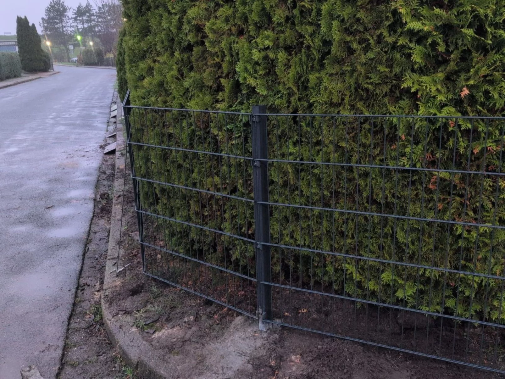 LouJa - Image-tags.info