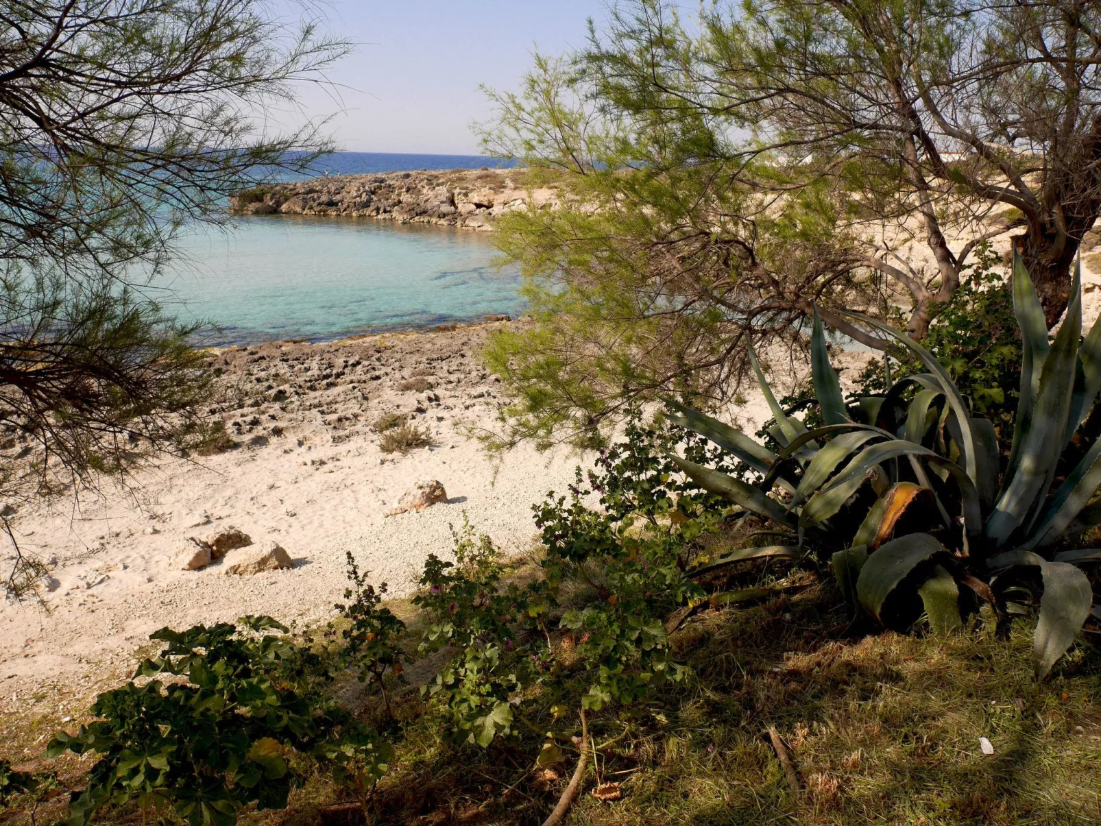 Luxuriöse Strandvilla am Strand in Apulien - Image-tags.info