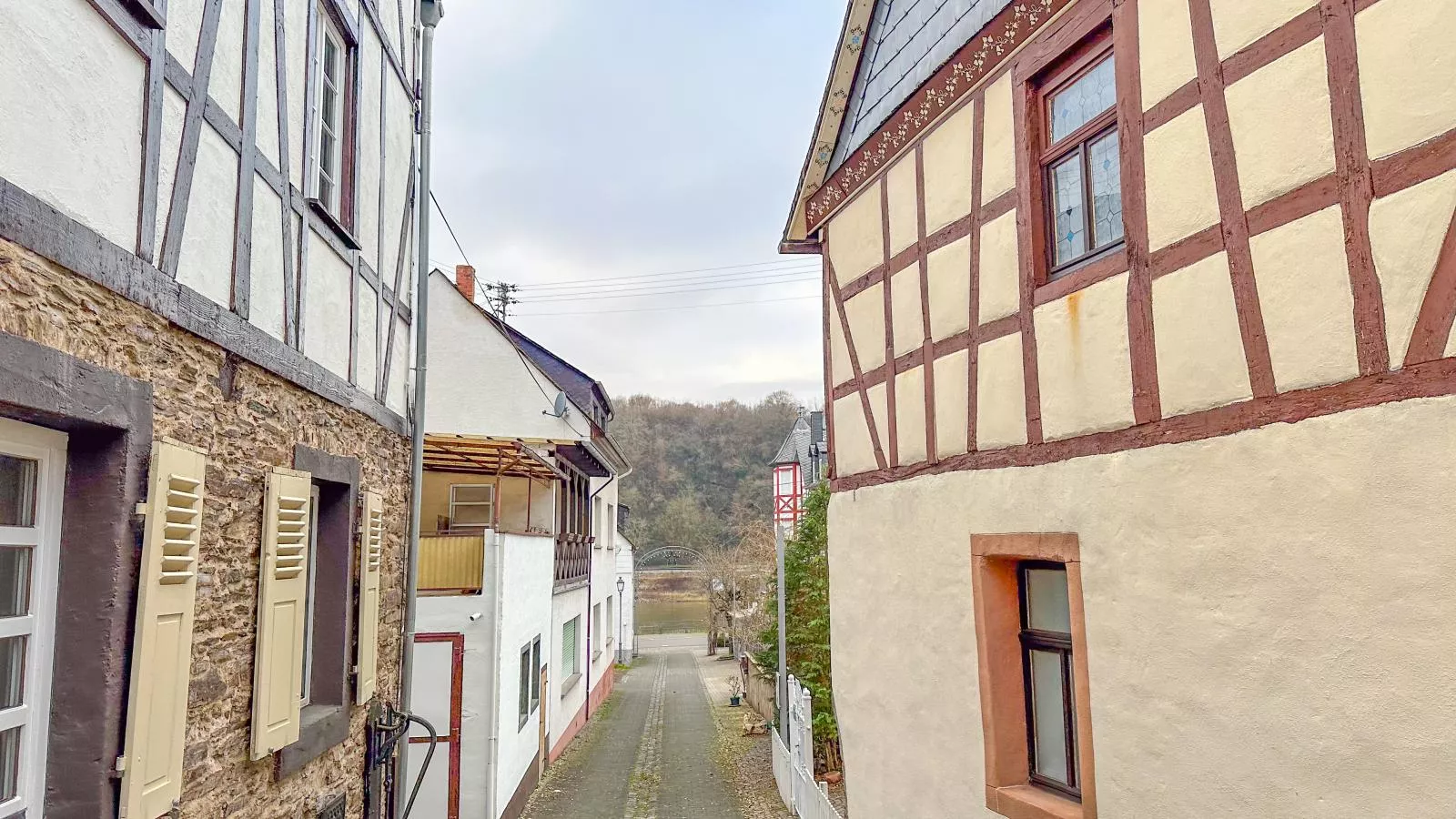 Neef - Gebied winter 1km