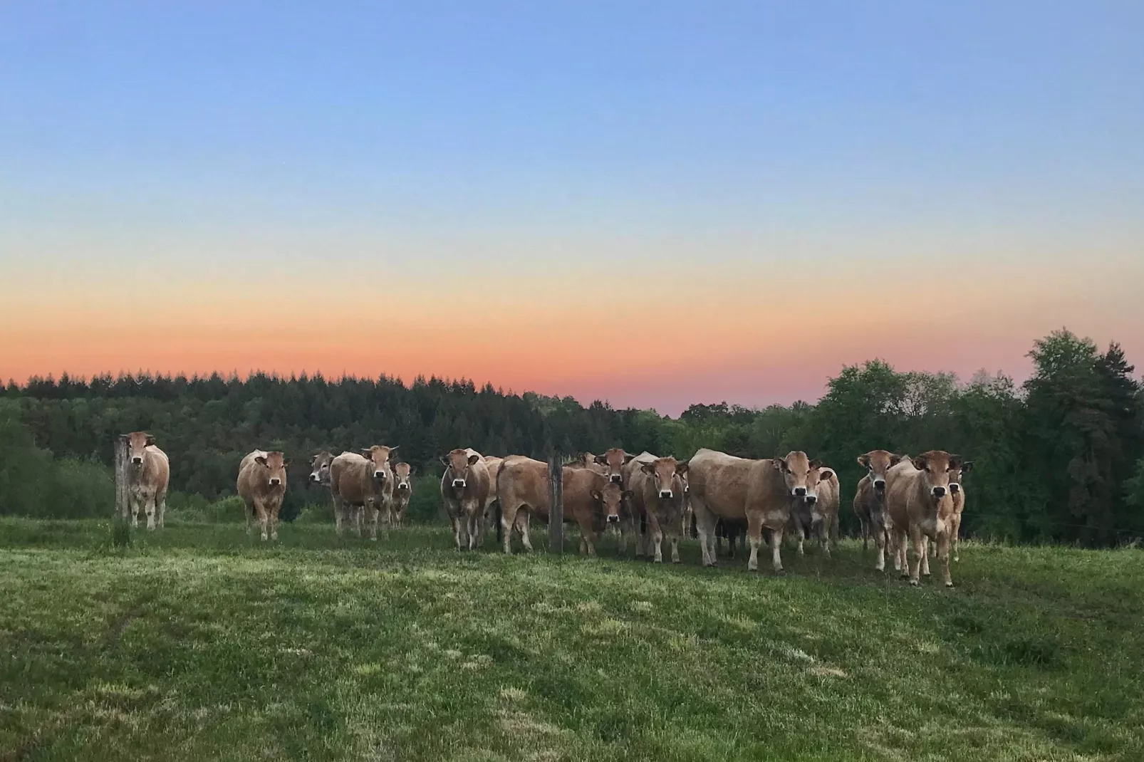 The Grange - Gebieden zomer 1km