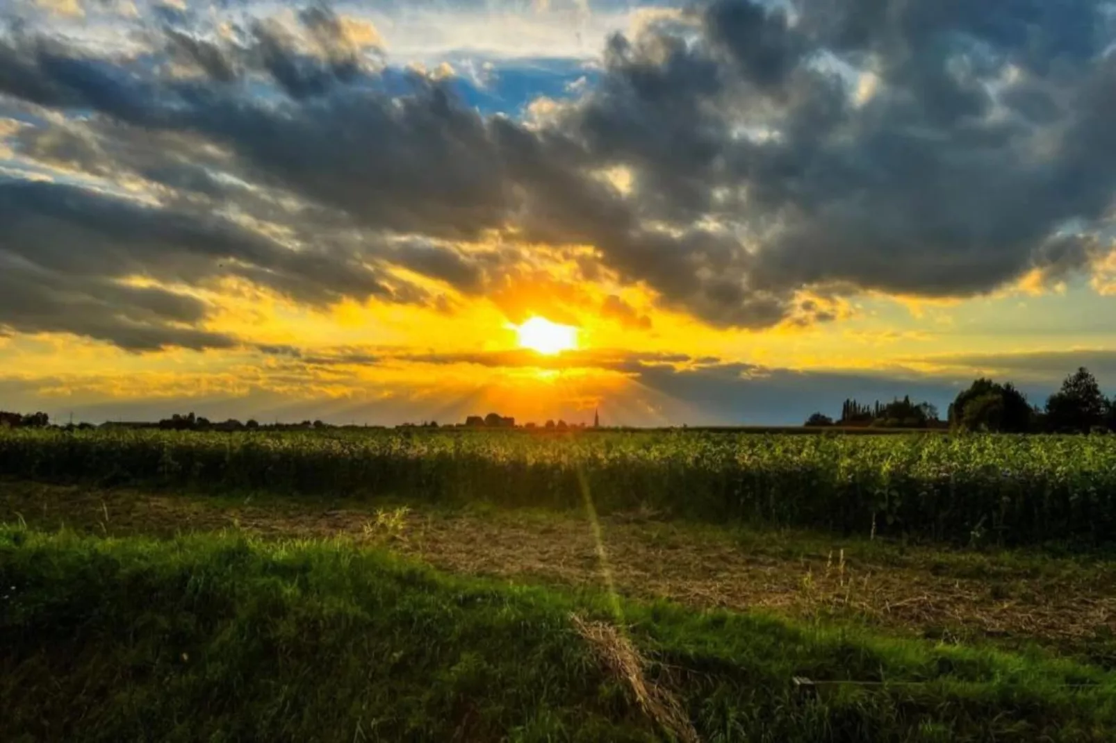 De Zoete inval - Gebieden zomer 5km