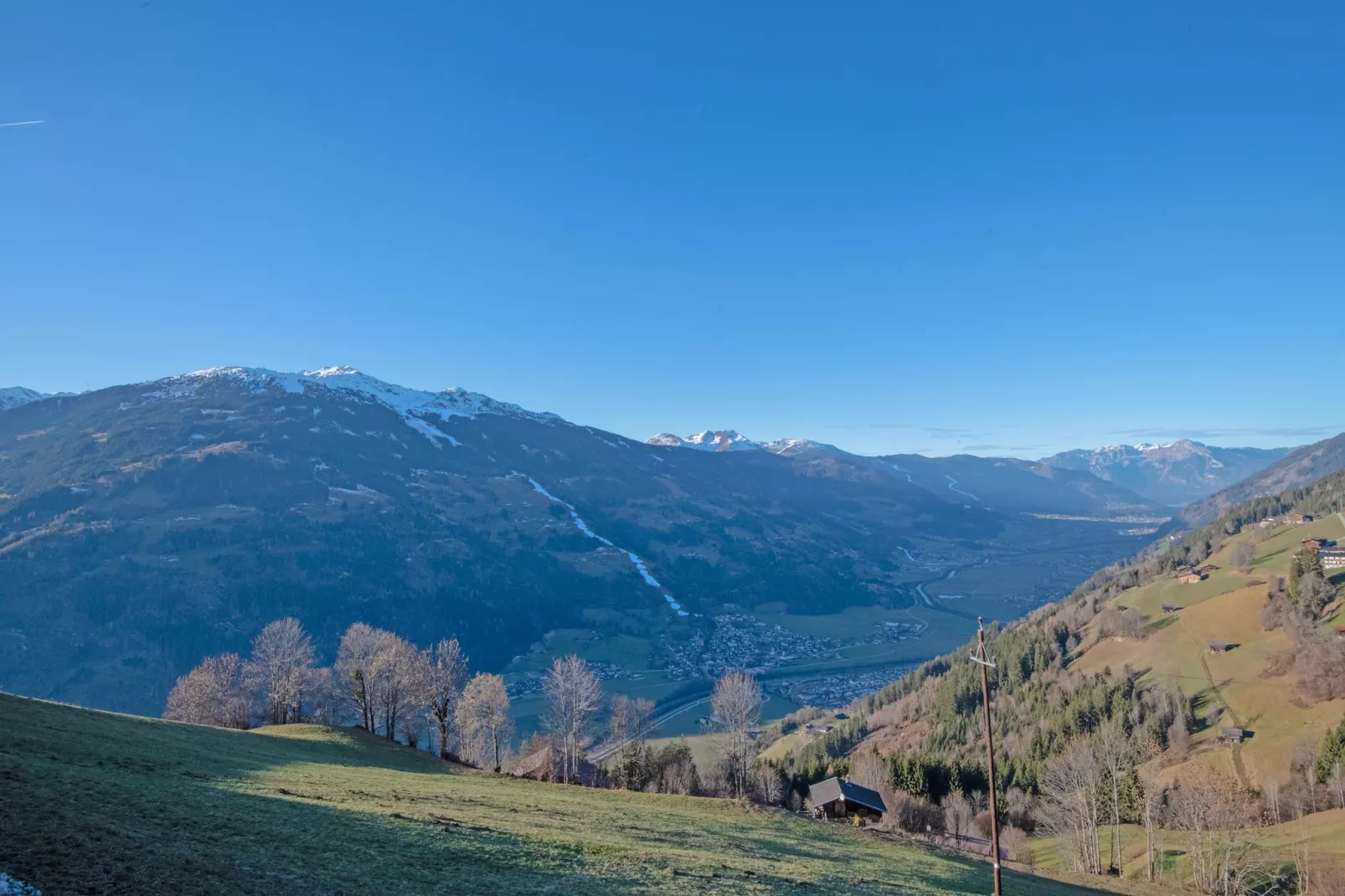 Vogalnest-Gebieden zomer 5km
