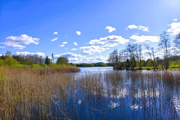 Holiday home Rekowo 120 qm - Gebieden zomer 1km