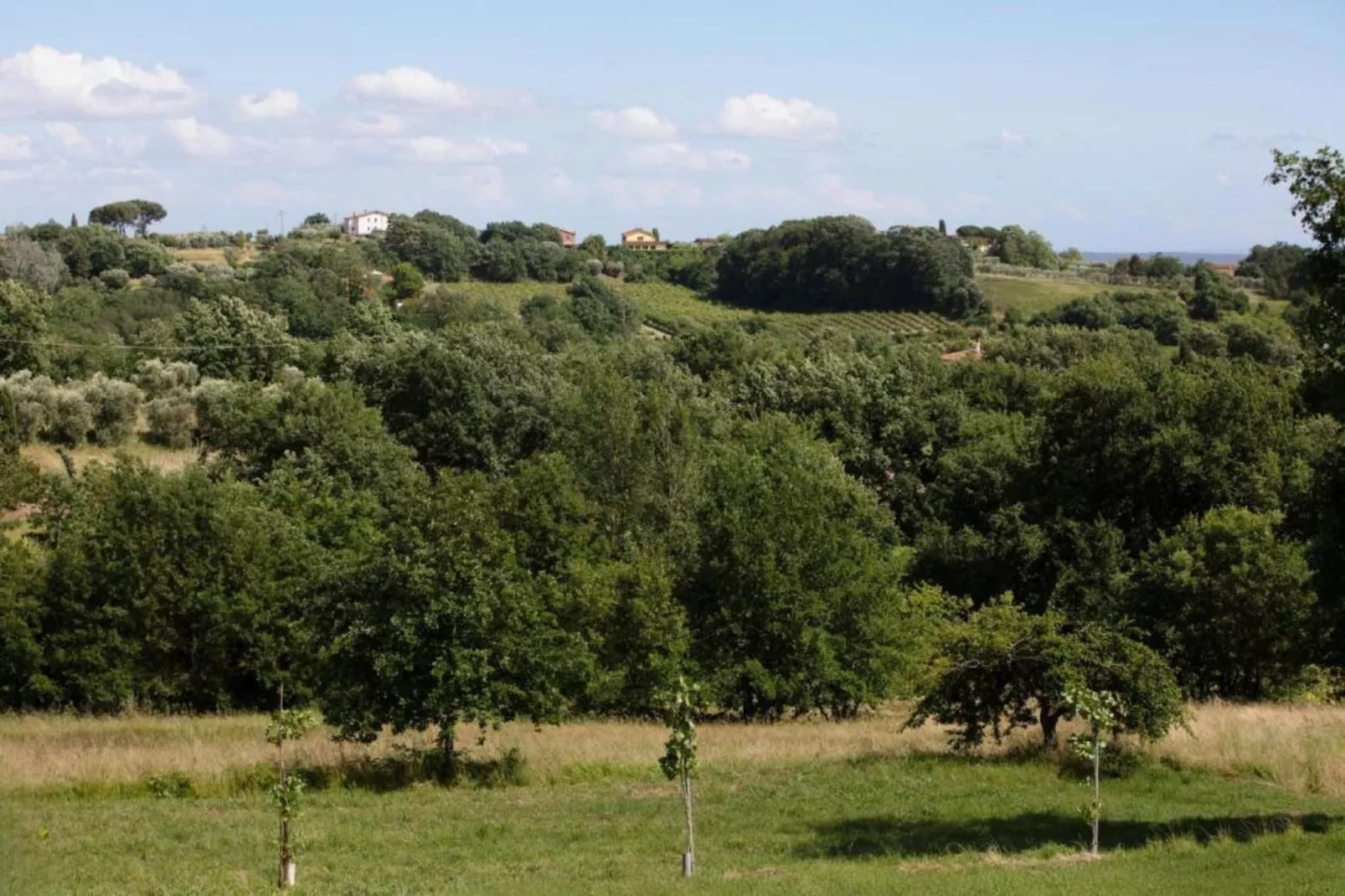 Aria di Lucca-Gebieden zomer 20km