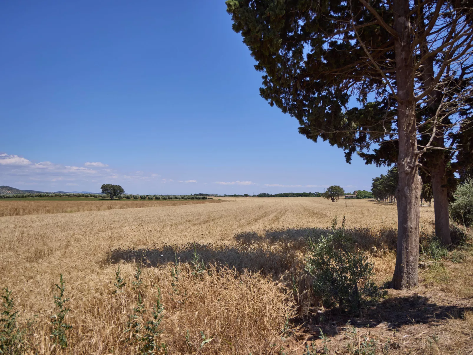 Costa D'Argento - Buiten