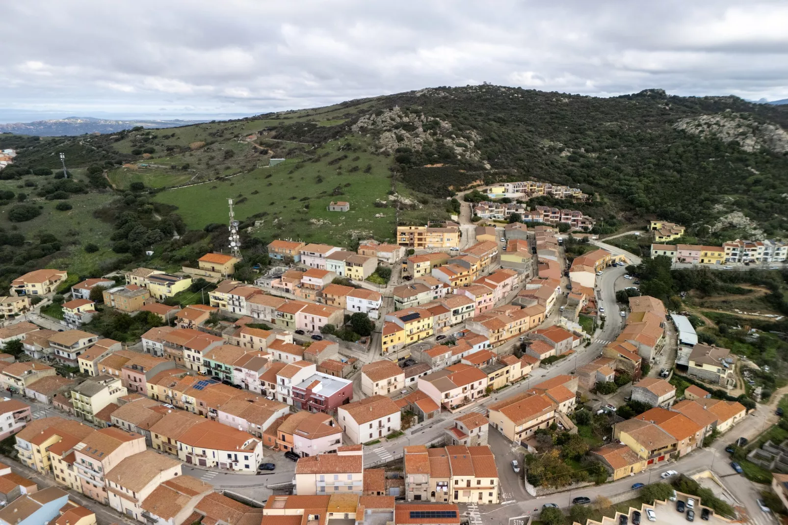 TRINITA' 1-Gebieden zomer 1km