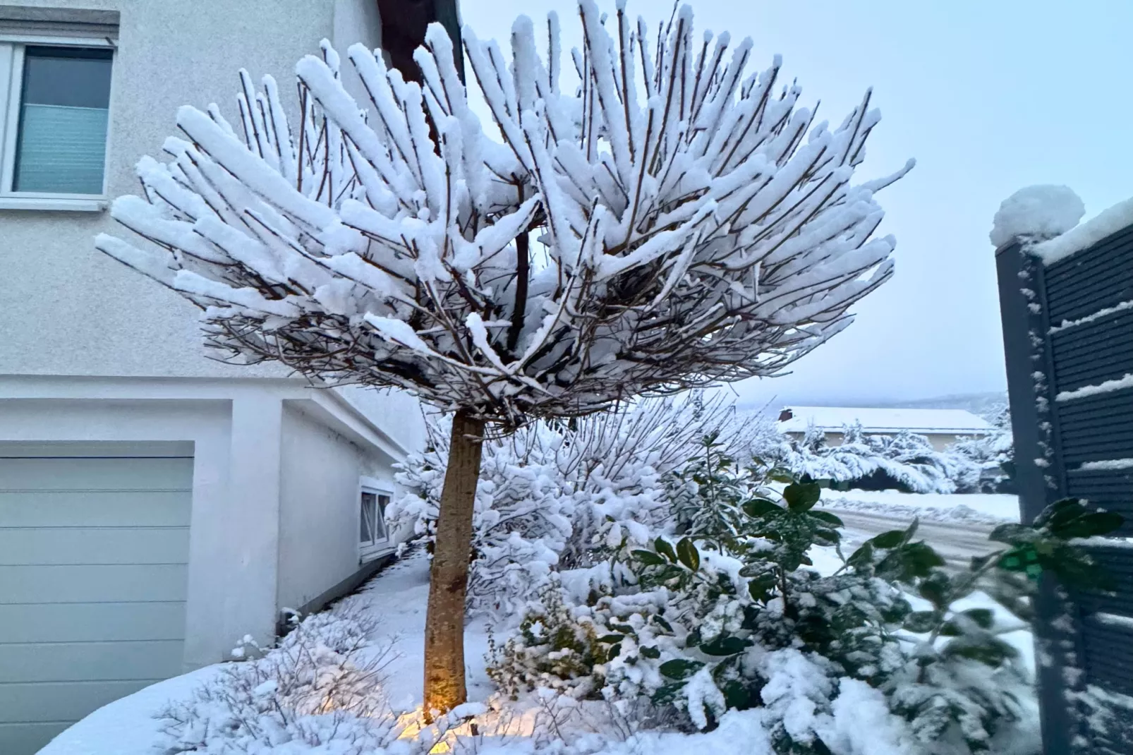 Casa Brocktega in Bestwig - Buitenlucht