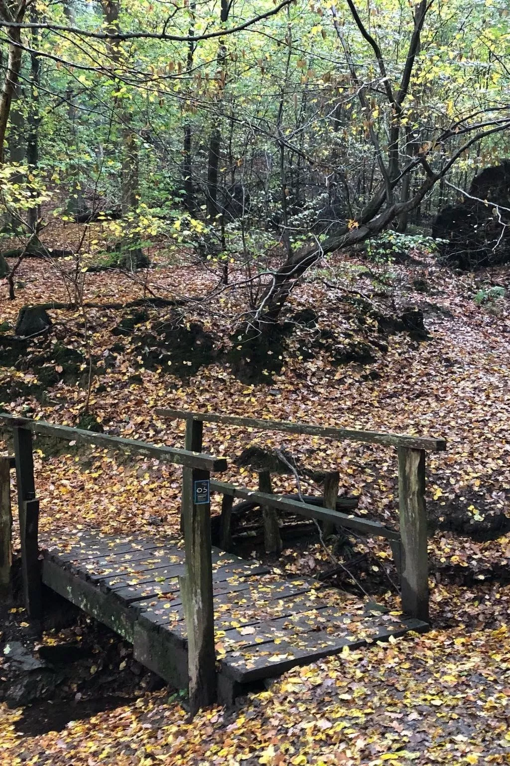 Gartenblick - Image-tags.info