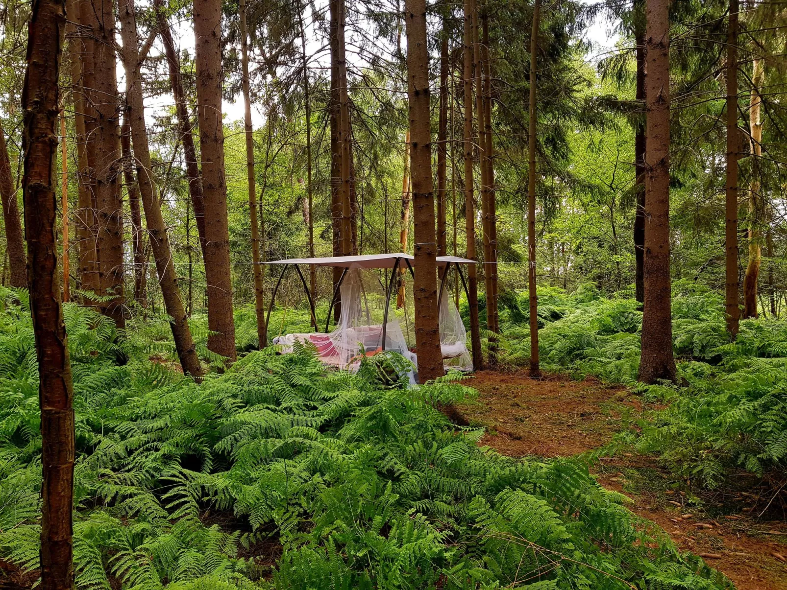 Luxuszeit zu Zweit - Image-tags.info