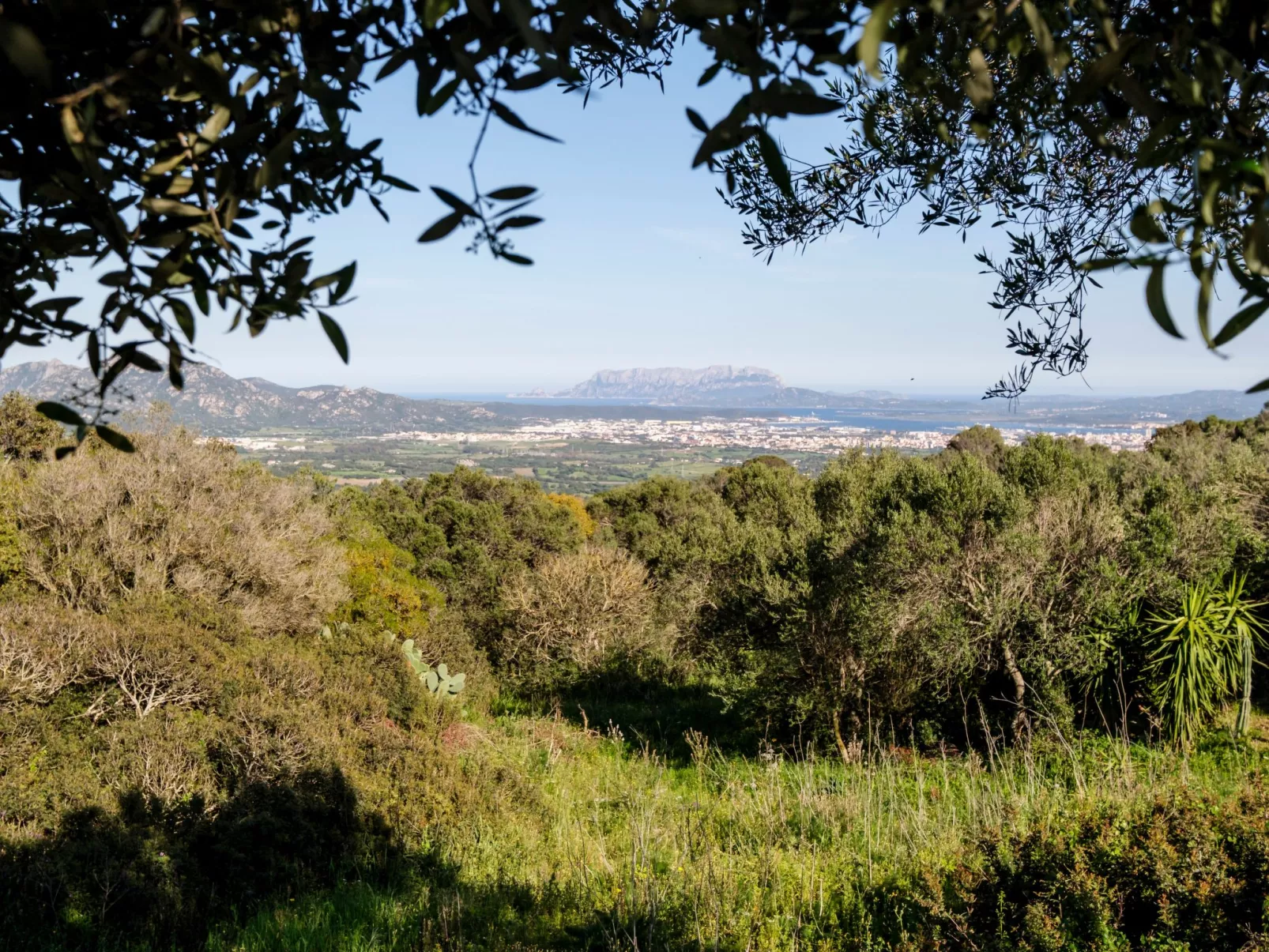 Altes gallurisches Bauernhaus mit Blick auf Olbia - Binnen