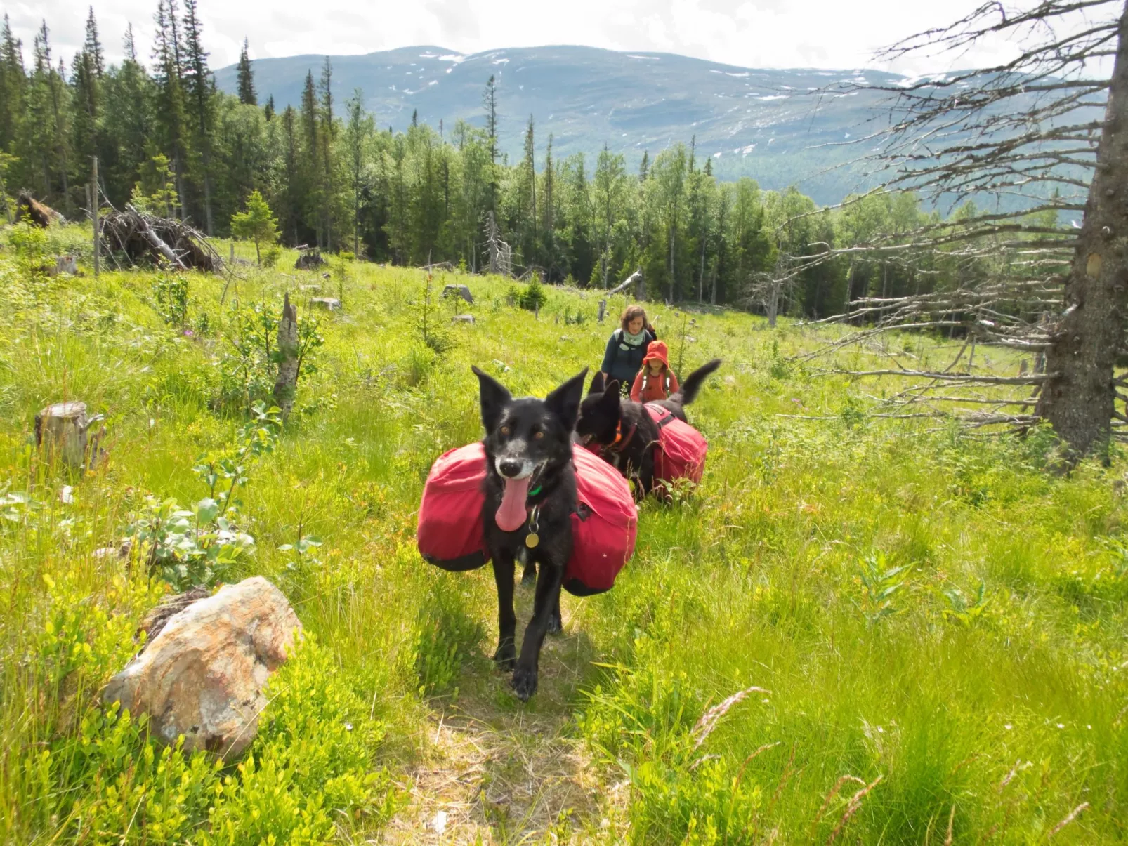 In Krokom und Seeblick - Image-tags.info