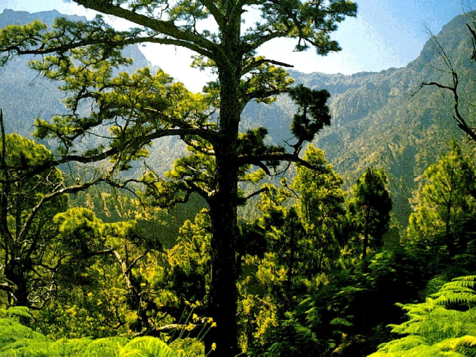 Anspruchsvolle Ferienvilla mit Panoramablick - Image-tags.info