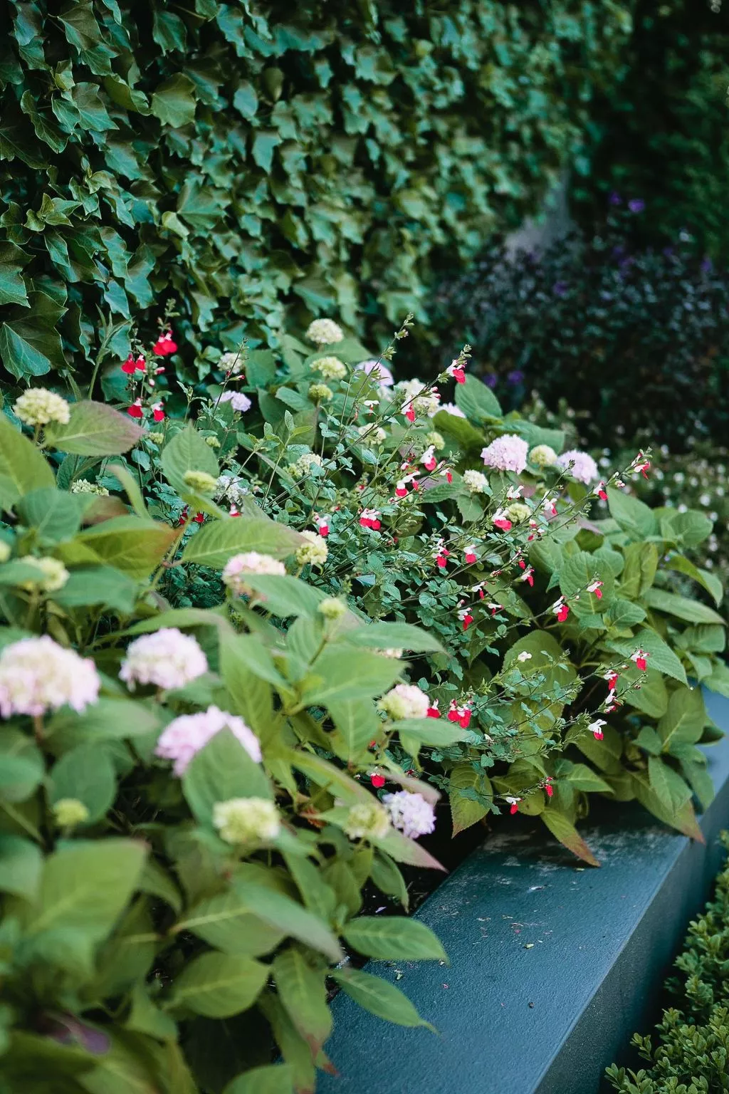 Ferienvilla "Glasnevin" - Image-tags.info