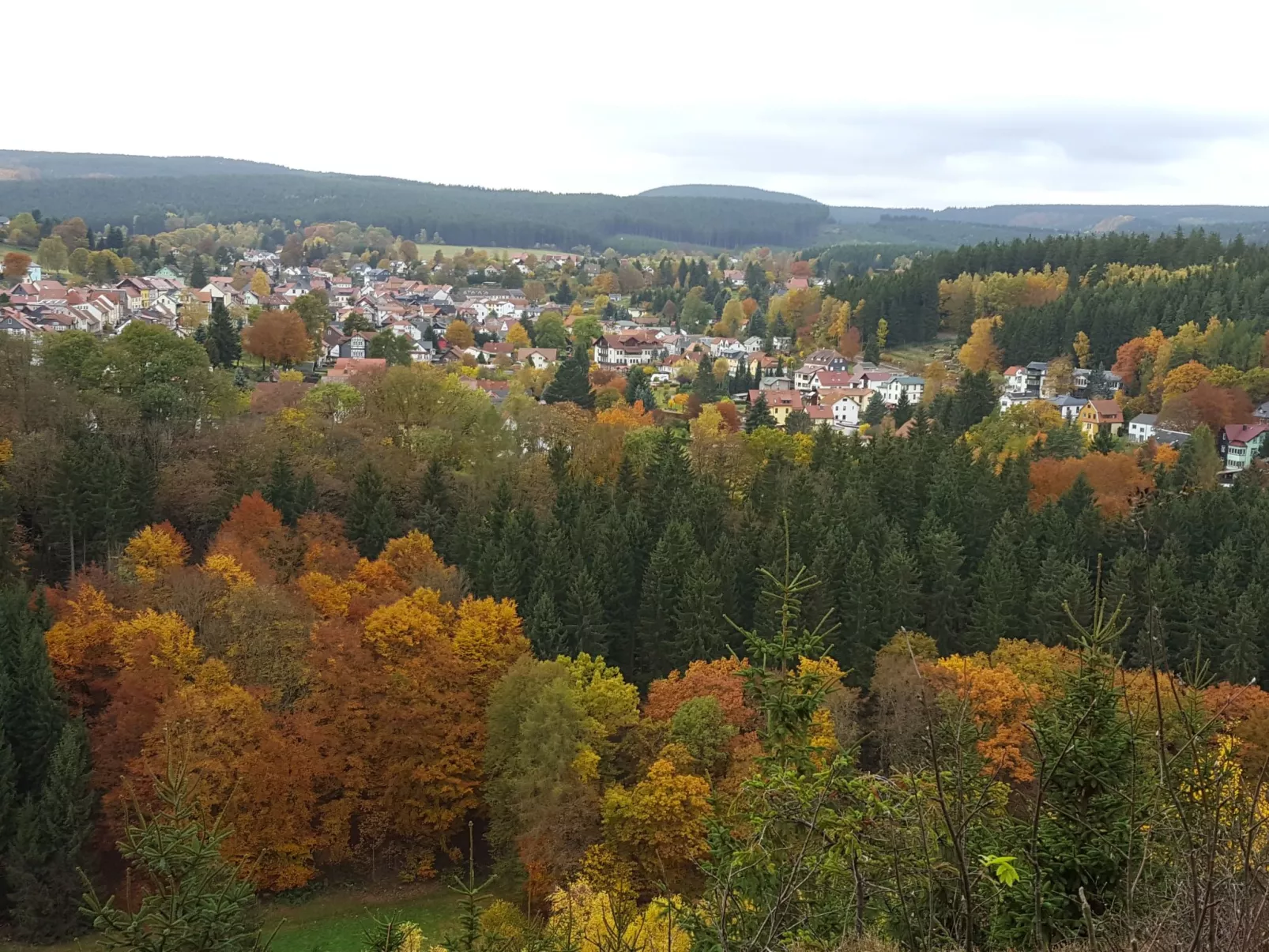 Komfortwohnung - Image-tags.info