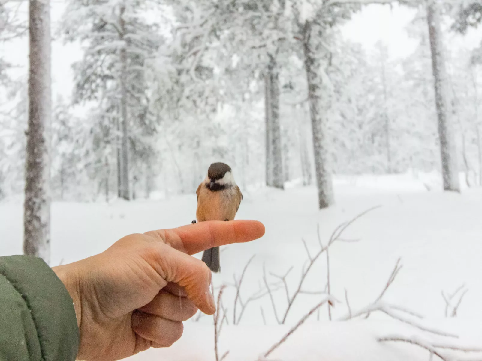 Salvostie 13, hetta - Binnen