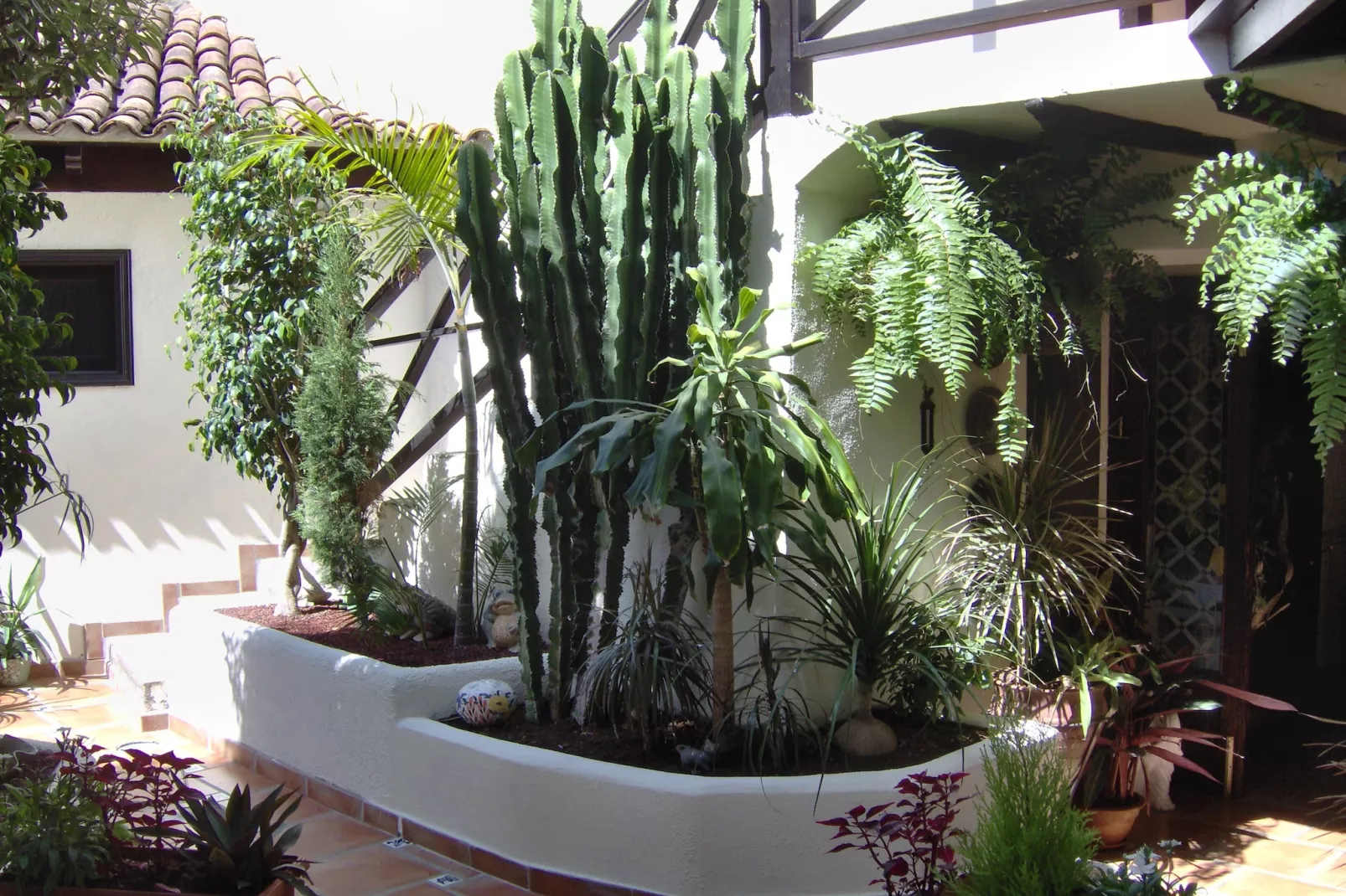 Apartamentos Monasterio de San Antonio 1 - Sfeer