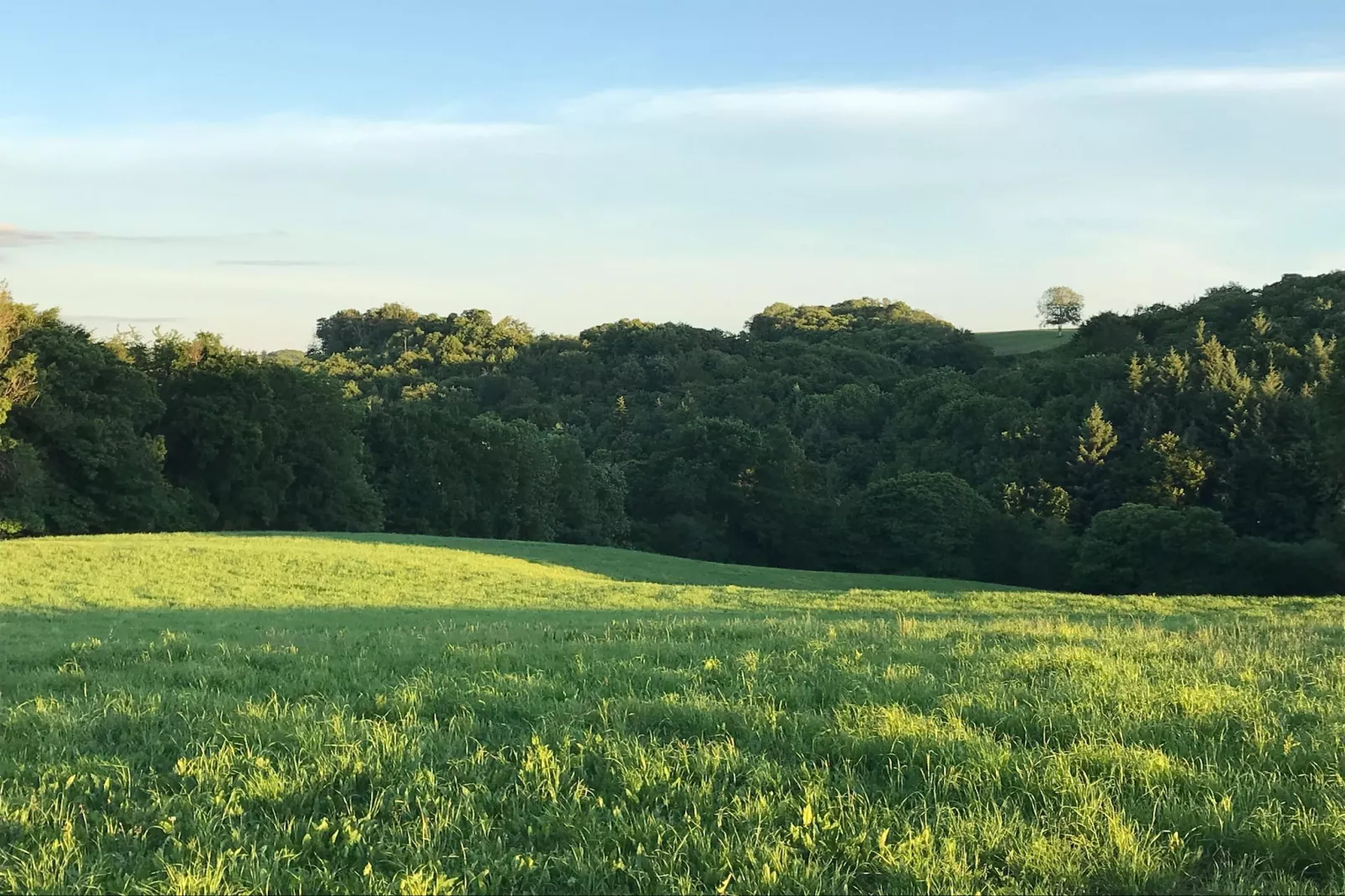 The Grange - Gebieden zomer 5km