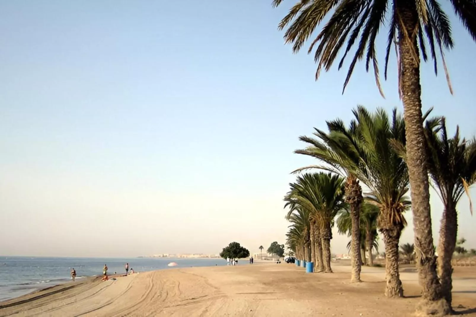 Moguima 2d-Gebieden zomer 1km