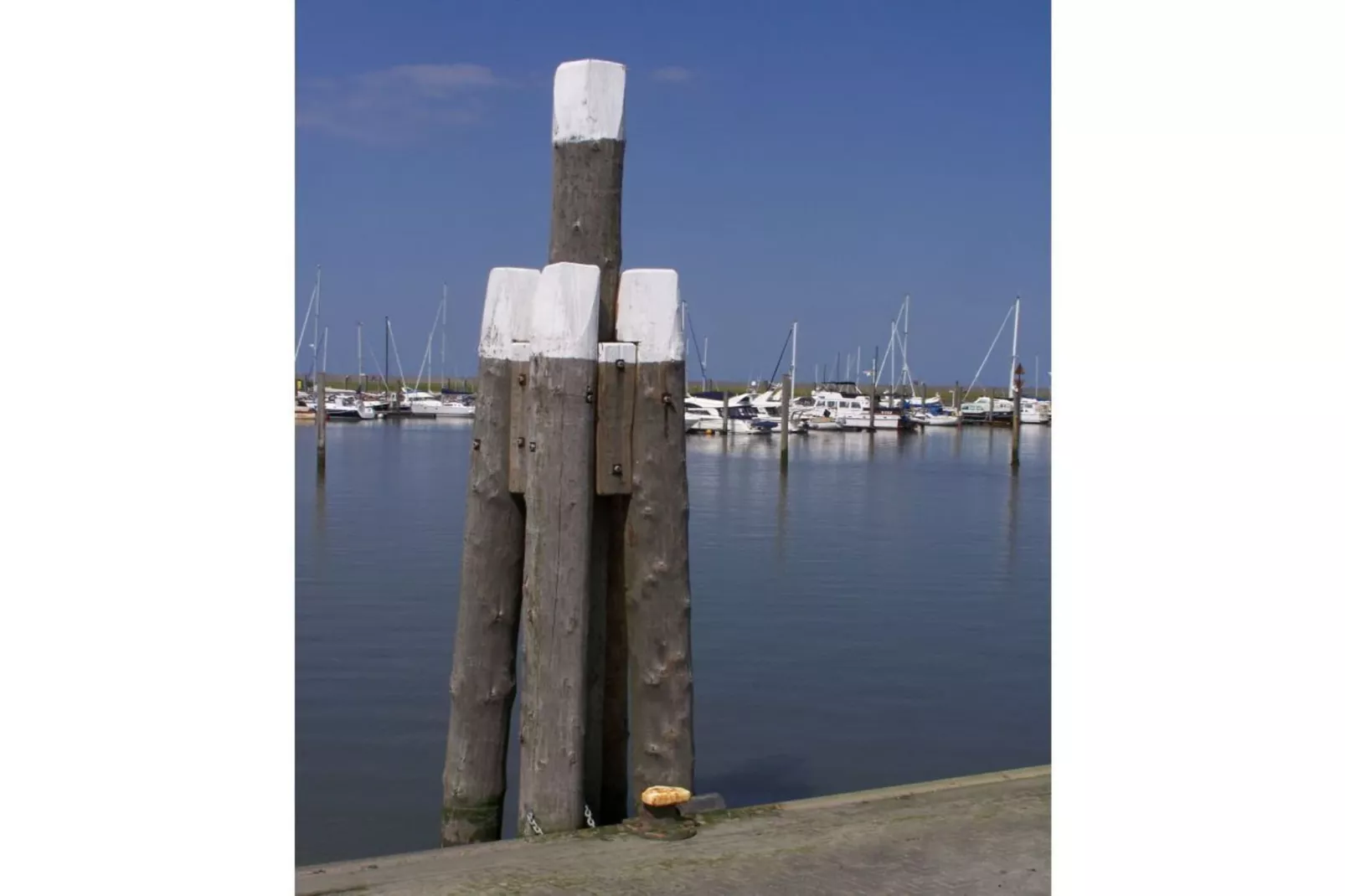 49791-Gebieden zomer 5km