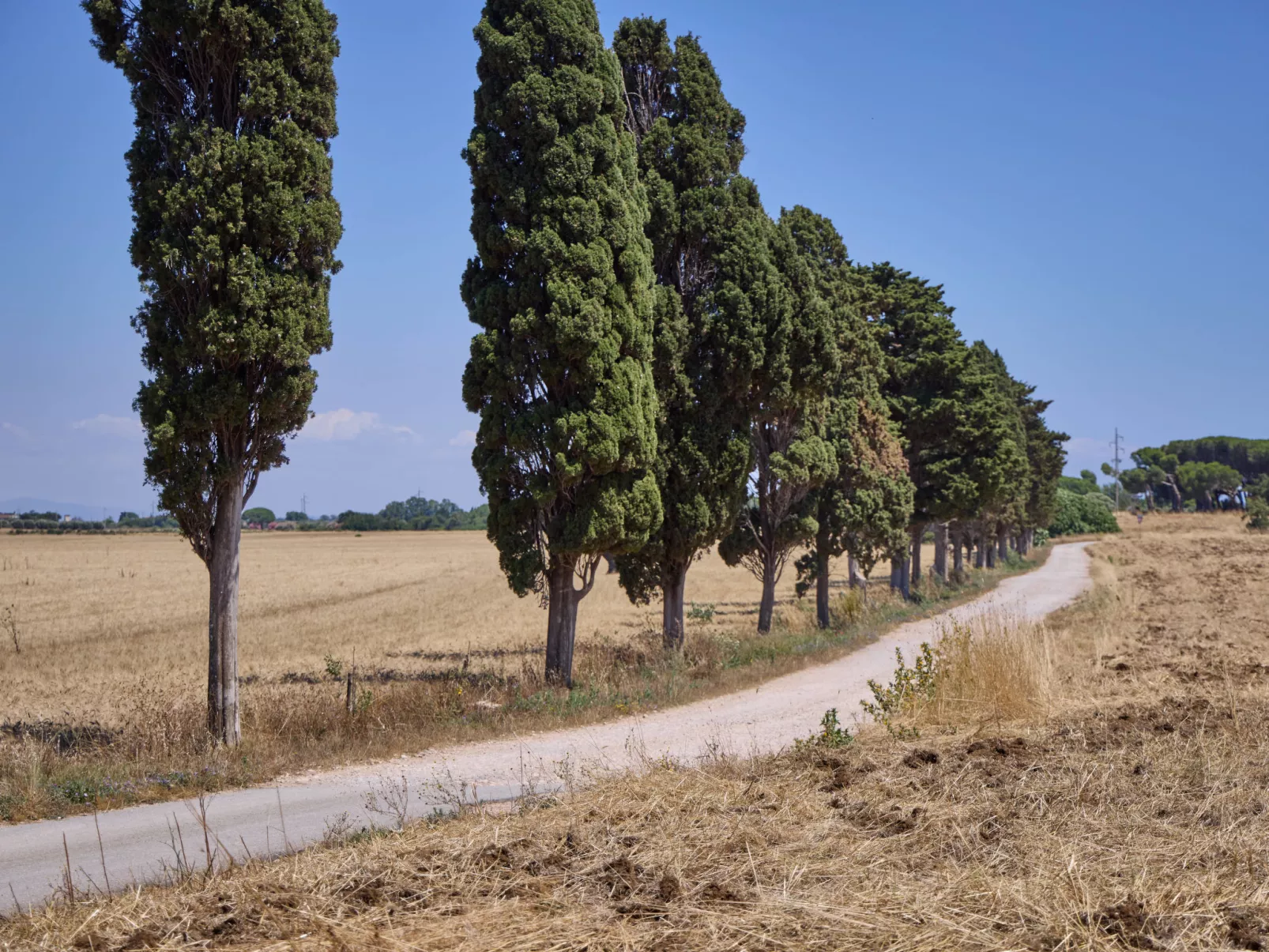 Costa D'Argento - Buiten