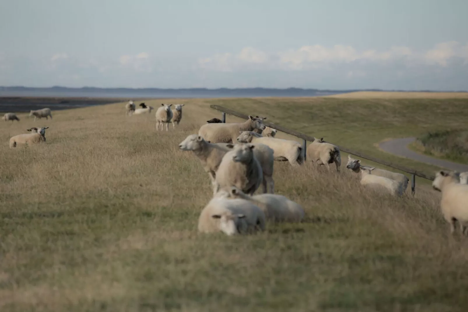 403944-Image-tags.water view