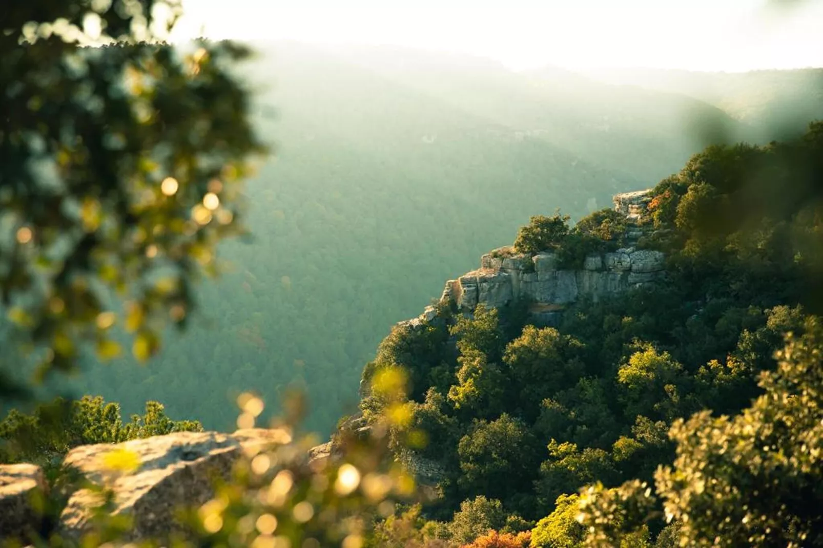 Mas de l'Arlequi - Gebieden zomer 1km