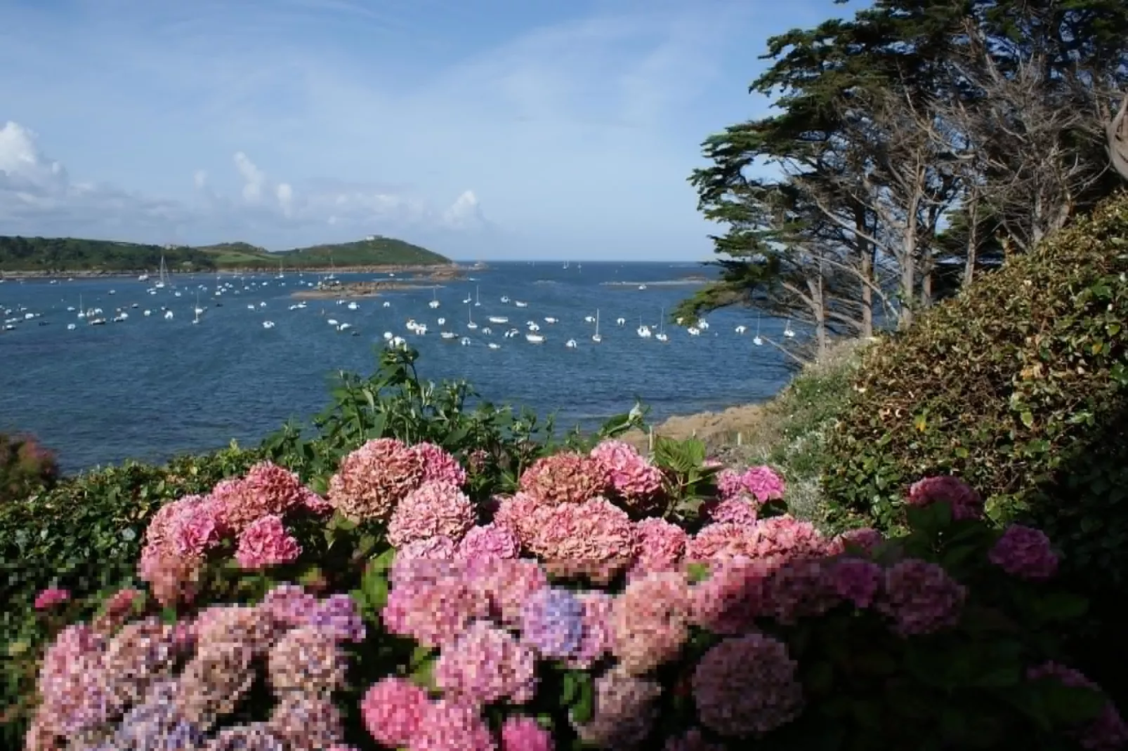 Maison de ville avec terrasse/jardin Guerlesquin - Gebieden zomer 20km