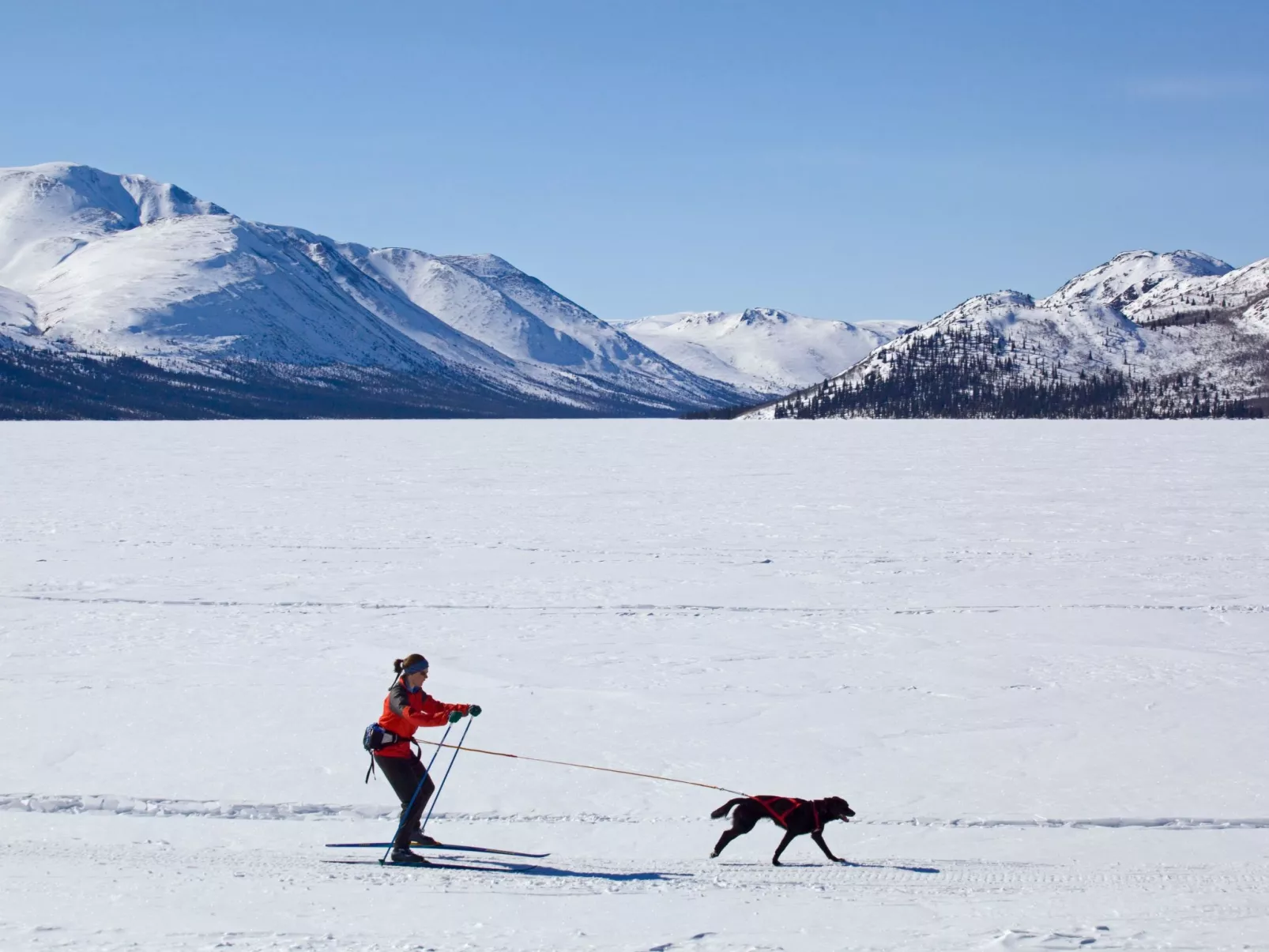 In Krokom und Seeblick - Image-tags.info