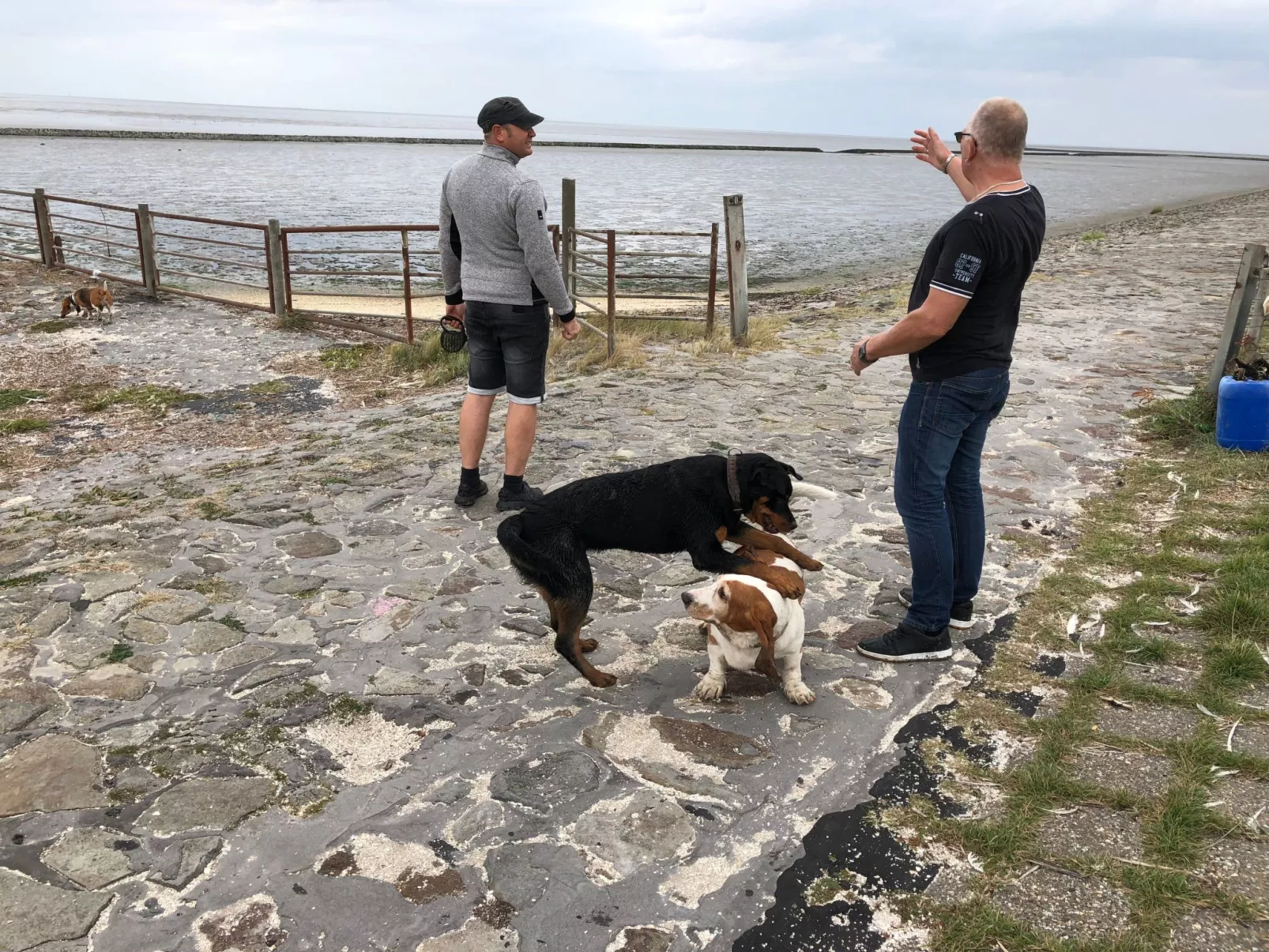 Haus Deichkieker - Image-tags.info