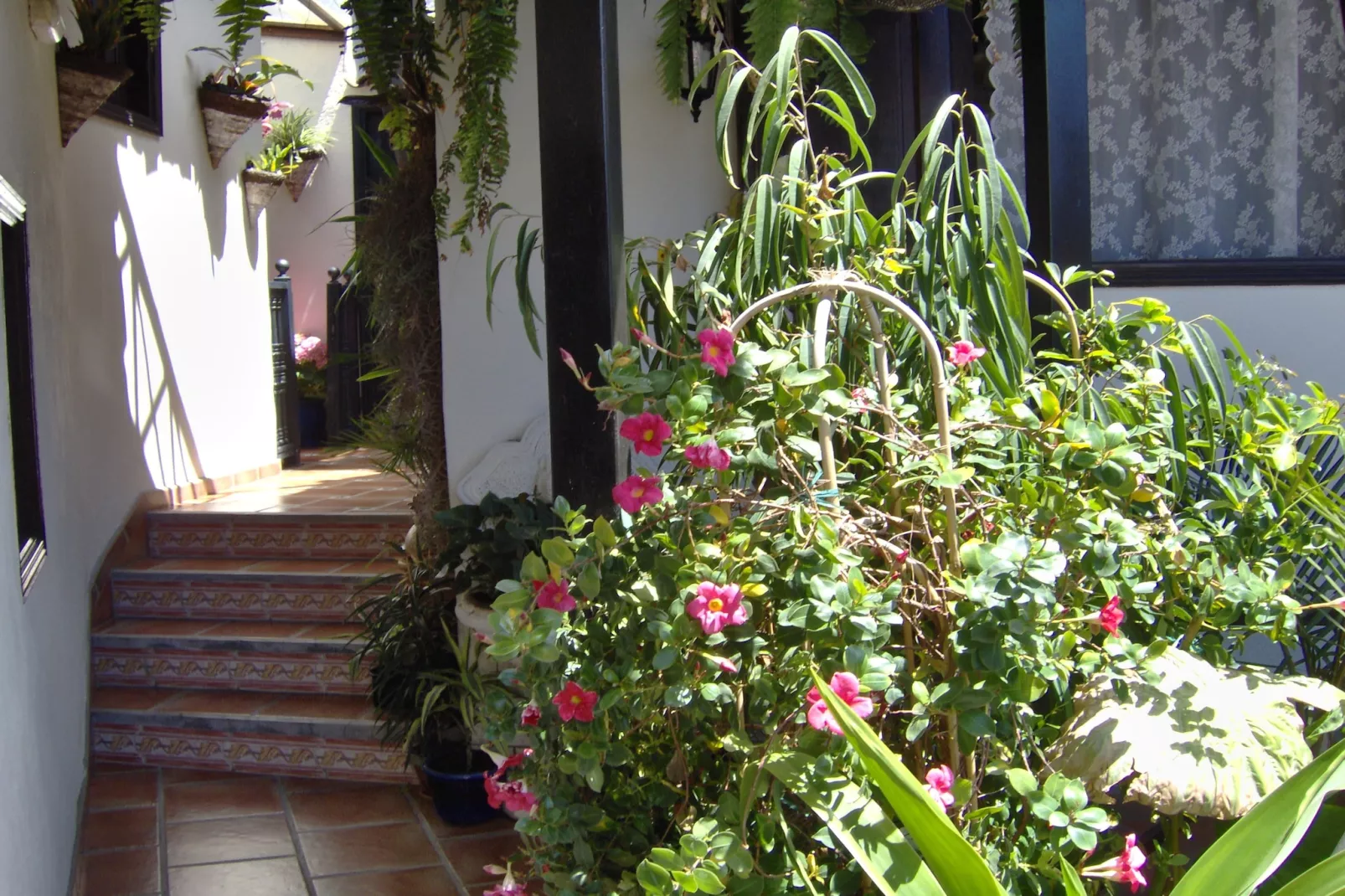 Apartamentos Monasterio de San Antonio 1 - Sfeer