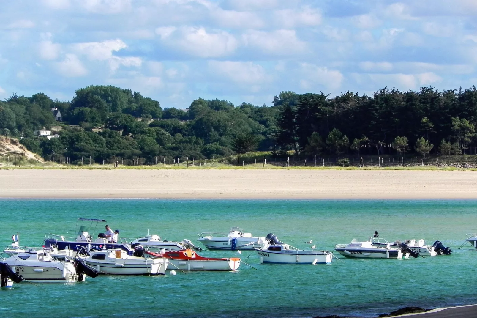 Gîte "Louis" à Plurien - Gebieden zomer 20km