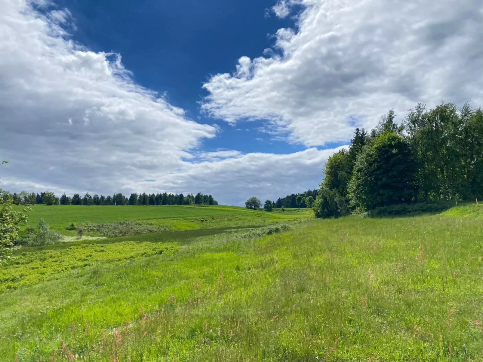 Frankenwald Lodge - Buiten