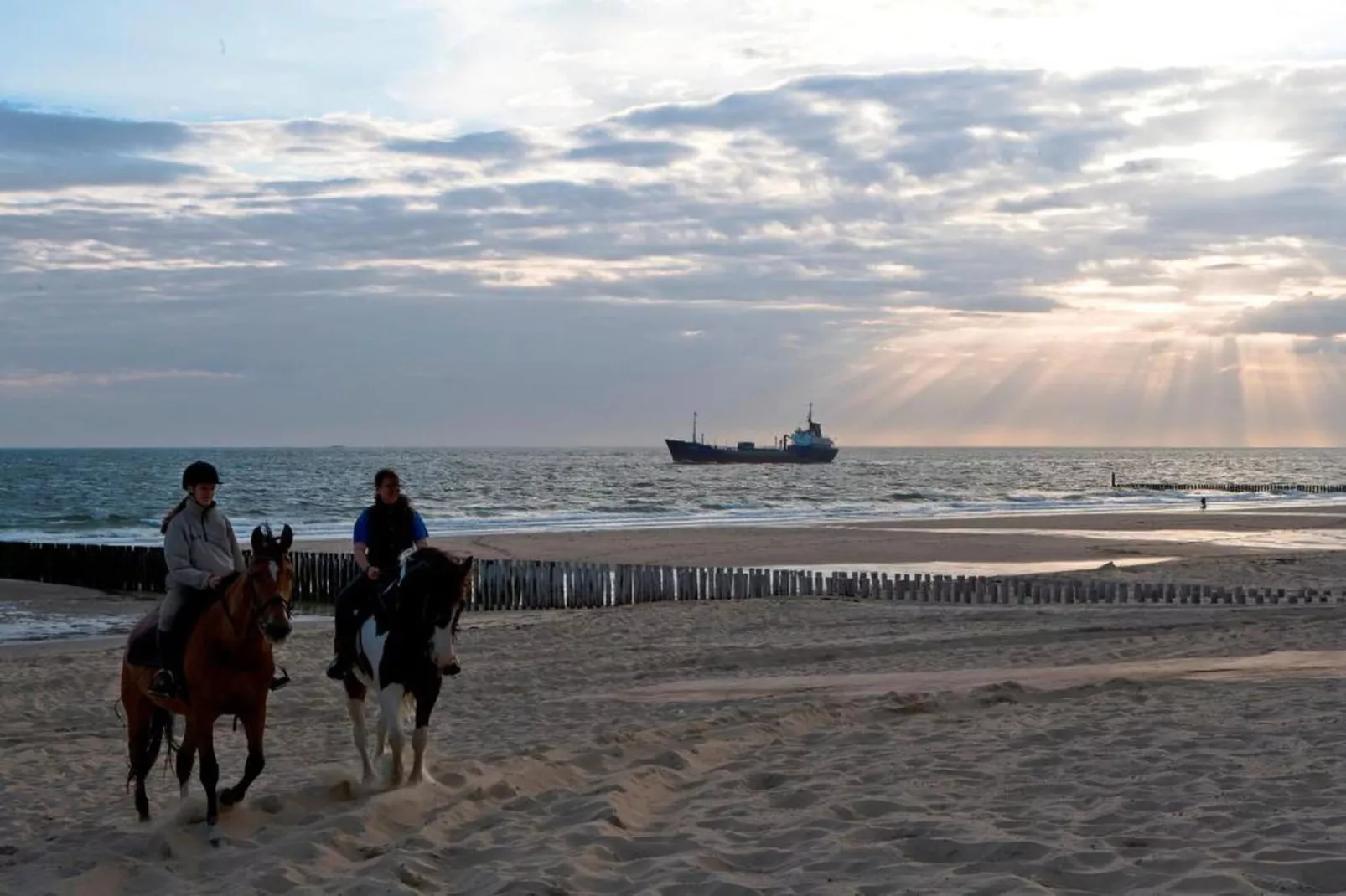 Slaapstrandhuisje - Strand dishoek 67  Dishoek-Gebieden zomer 20km