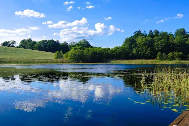 Holiday home Rekowo 120 qm - Gebieden zomer 1km