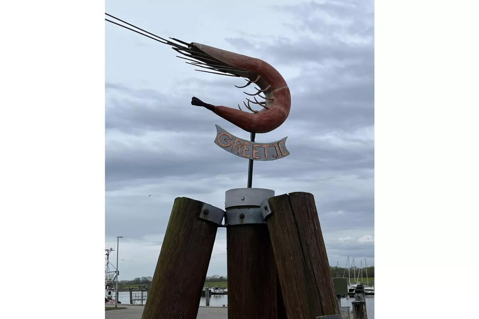 131094-Gebieden zomer 5km