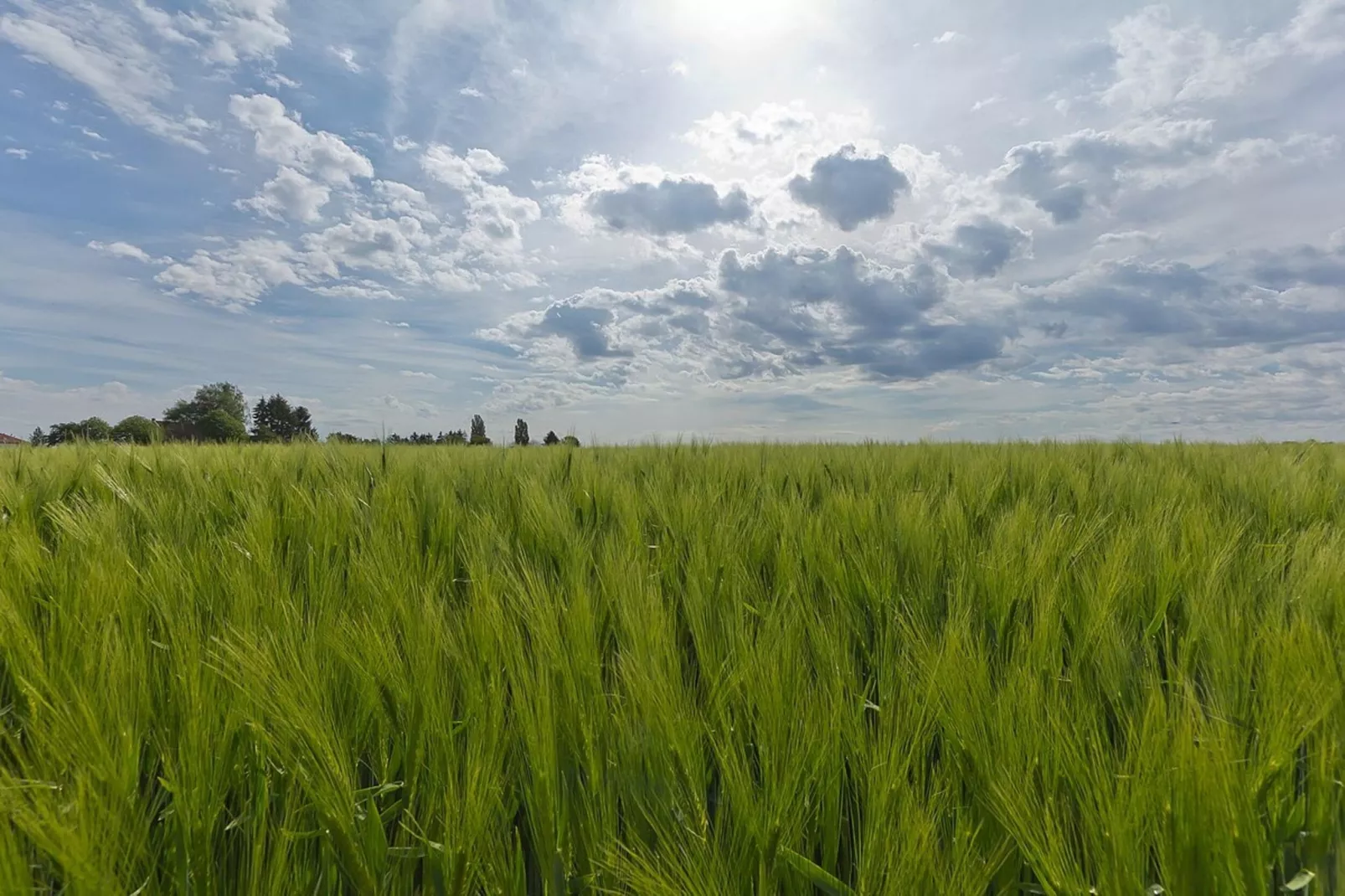 Schaelsbergerbosch - Fireplace & Sauna-Gebieden zomer 20km