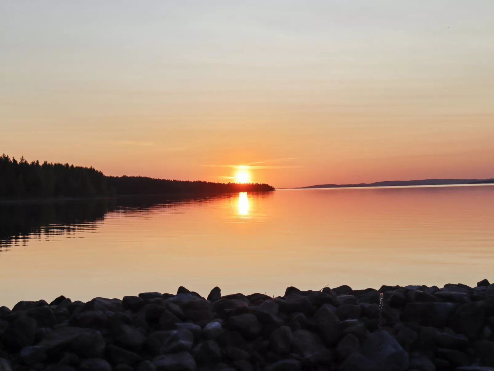 Villa vulpe - Binnen