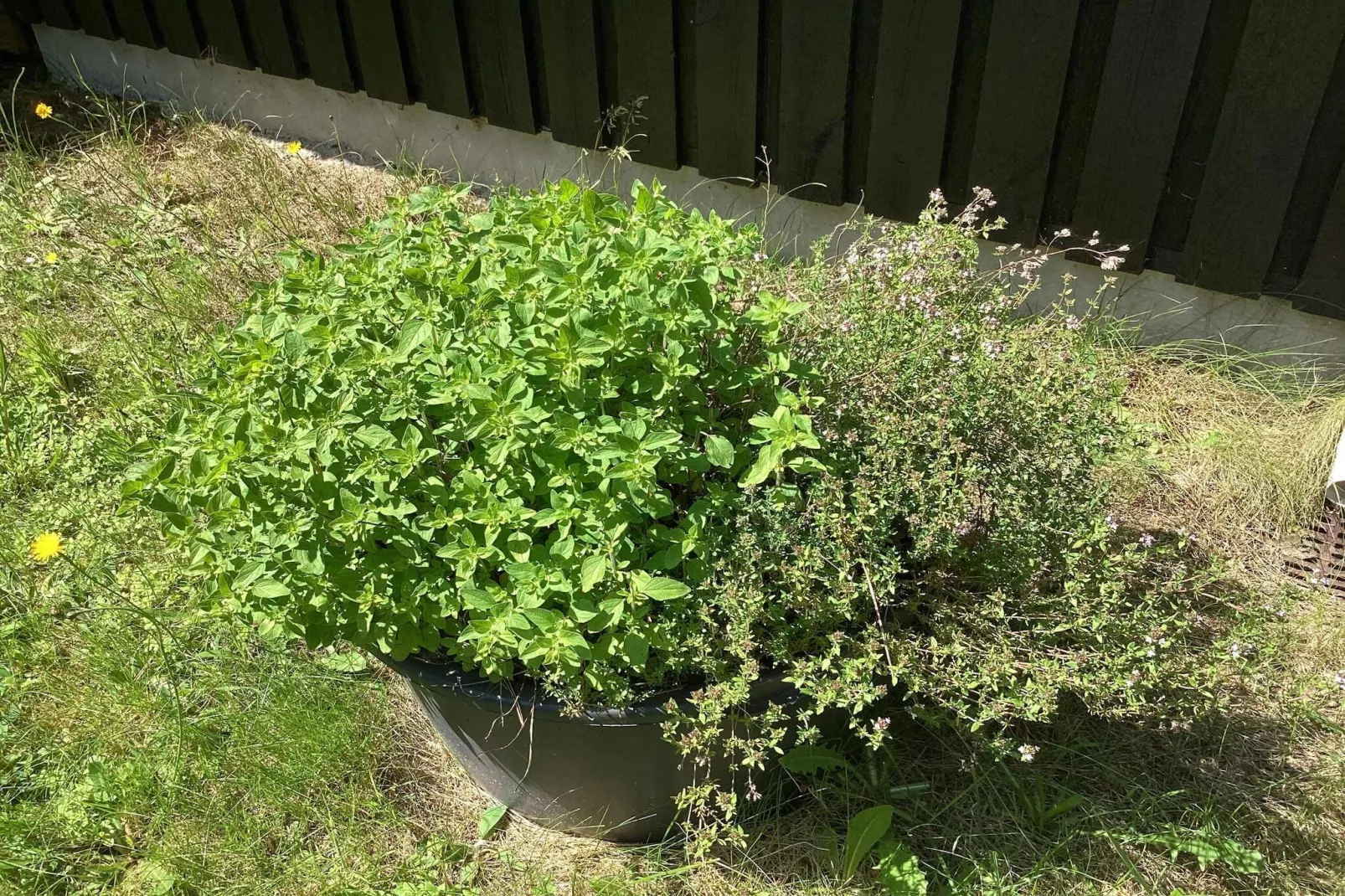 6 Personen vakantie huis in Hals-Niet-getagd