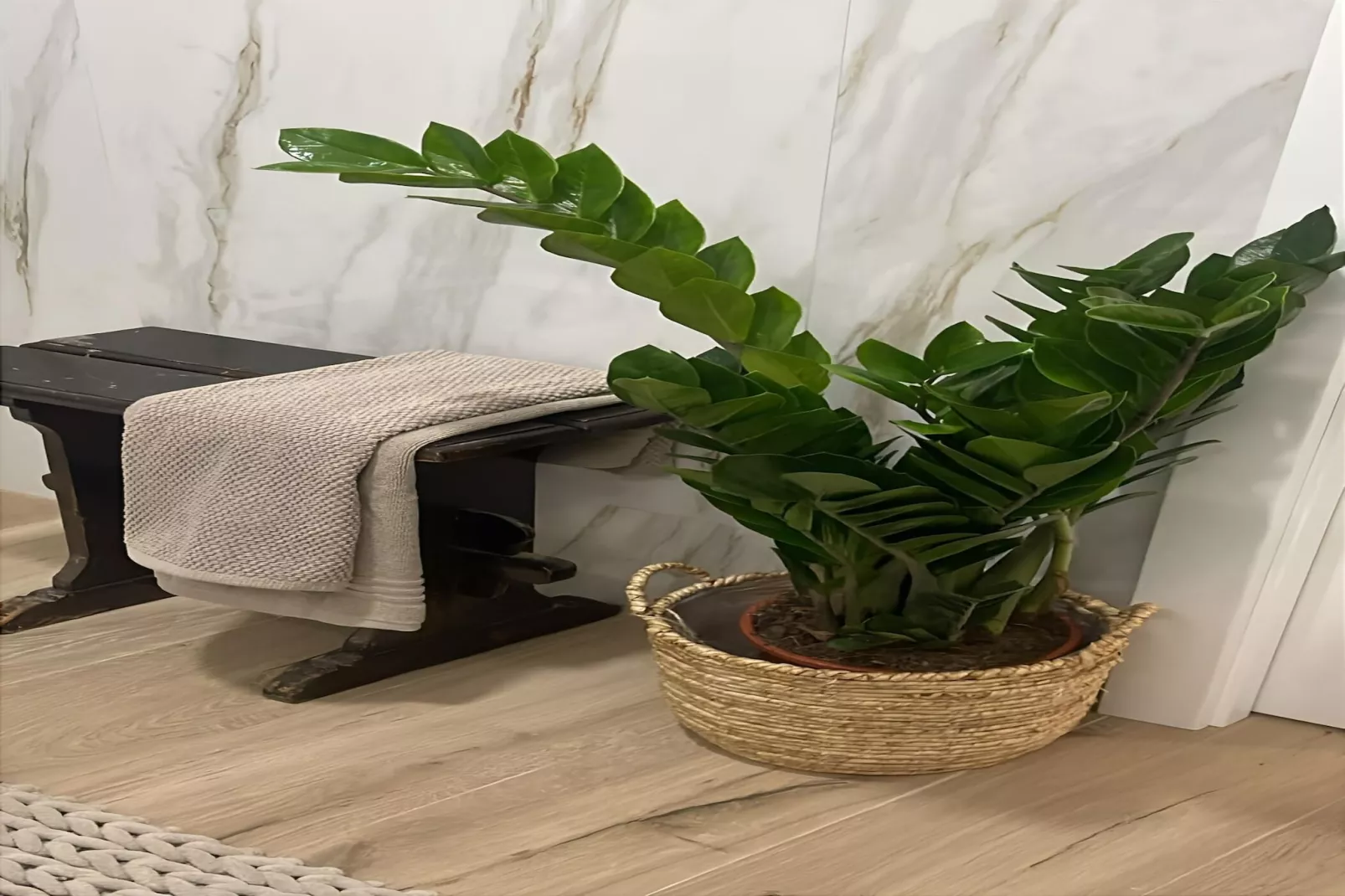 Golegã Boutique Apartment By Gt House - Sfeer