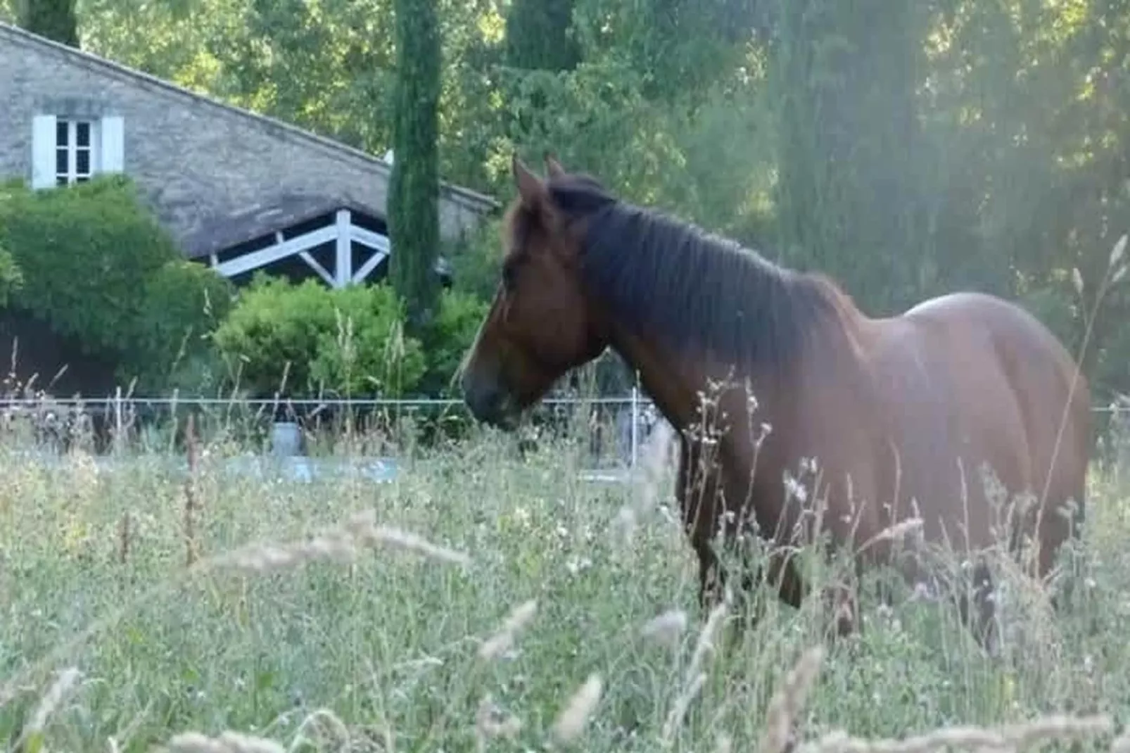 Villa provencale pour les amoureux de la nature en Lubéron