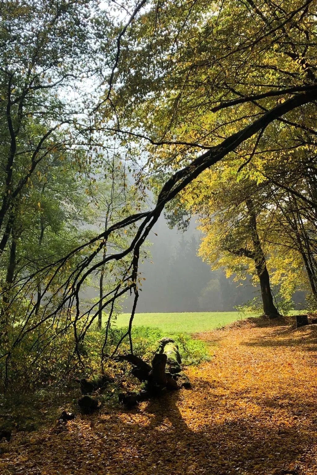 Gartenblick - Image-tags.info