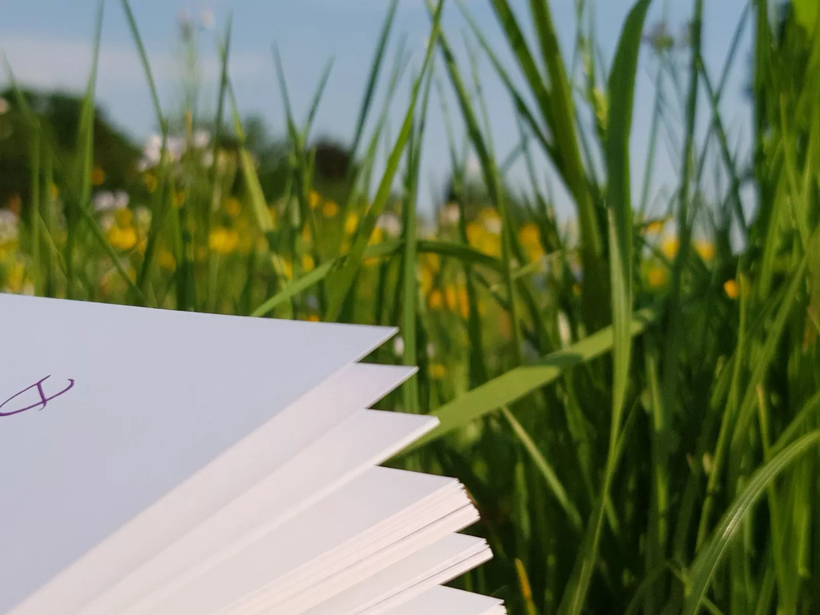 Luxuszeit zu Zweit - Image-tags.info